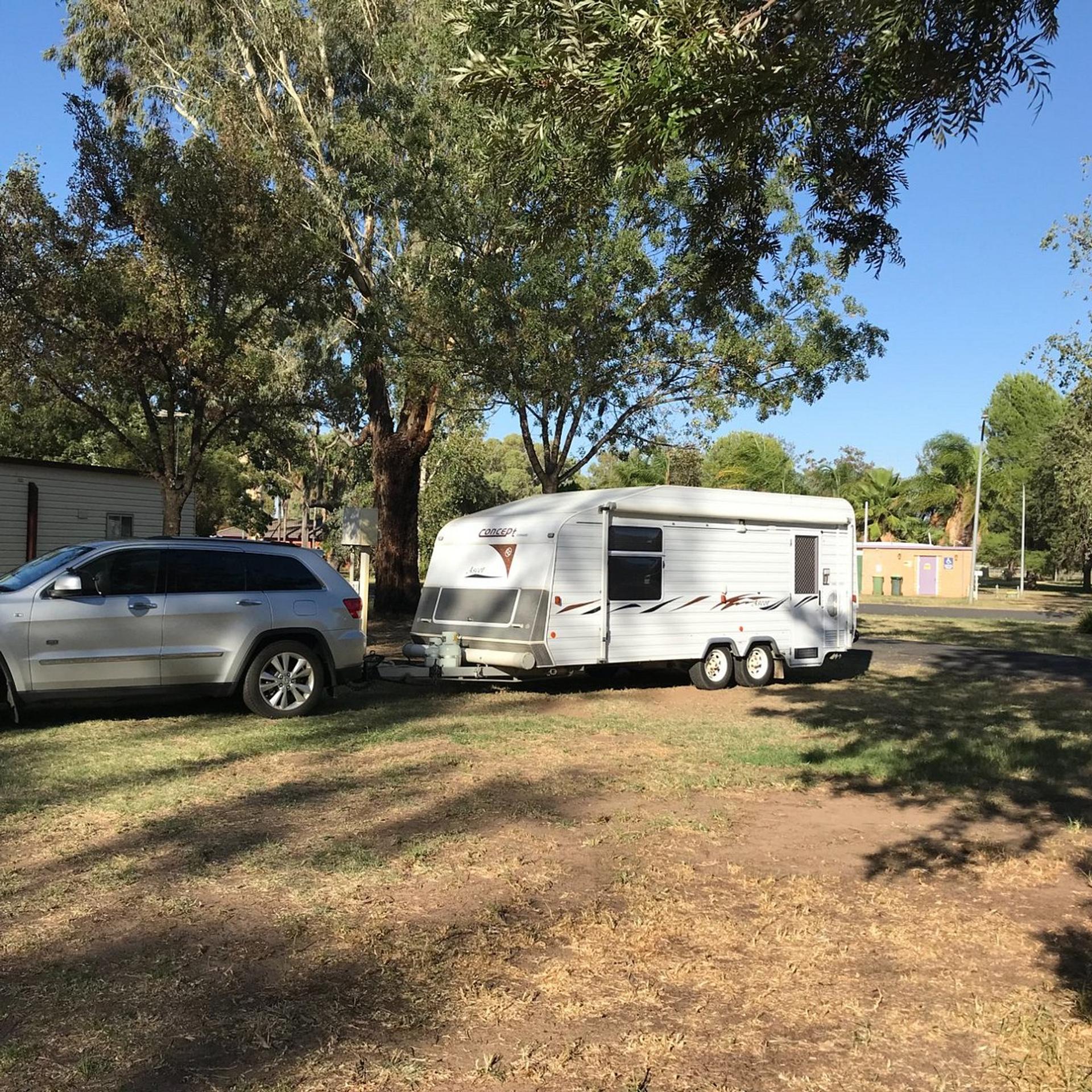 Gilgandra Caravan Park - 3