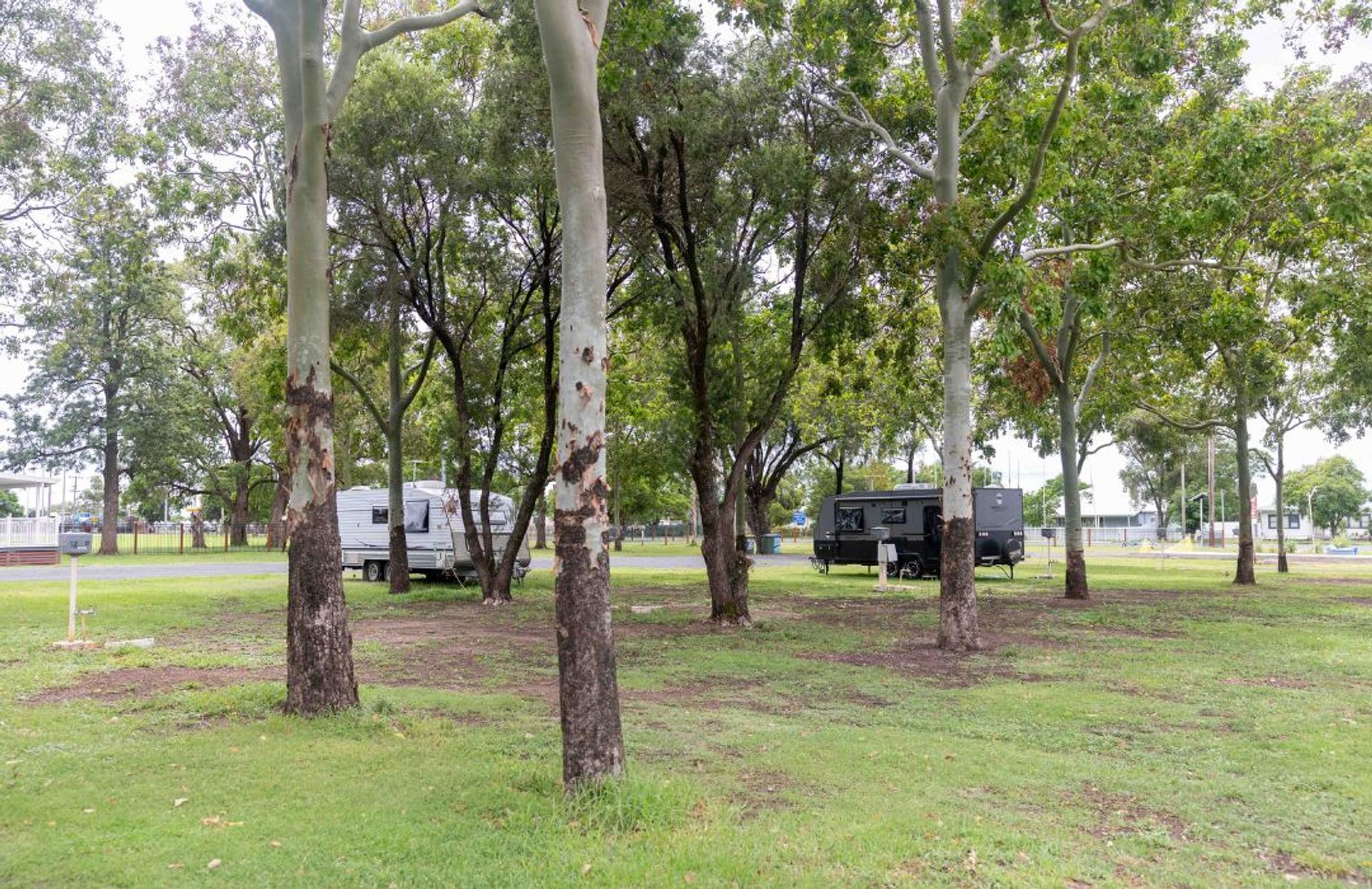 Coonamble Riverside Holiday Park - 1
