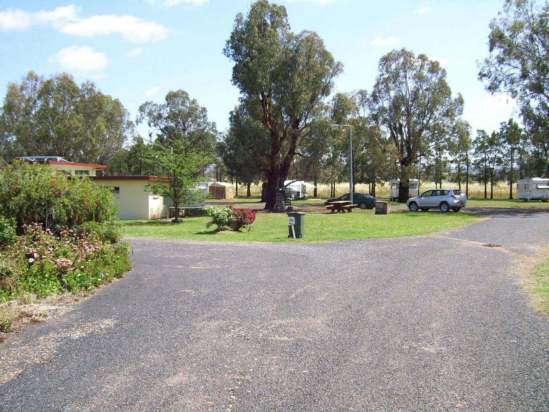 Dunedoo Caravan Park - 2