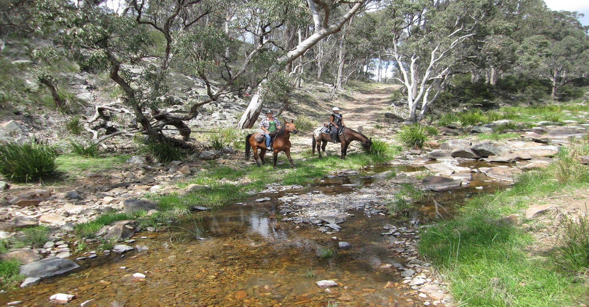 Three Waters High Country Holidays - 2
