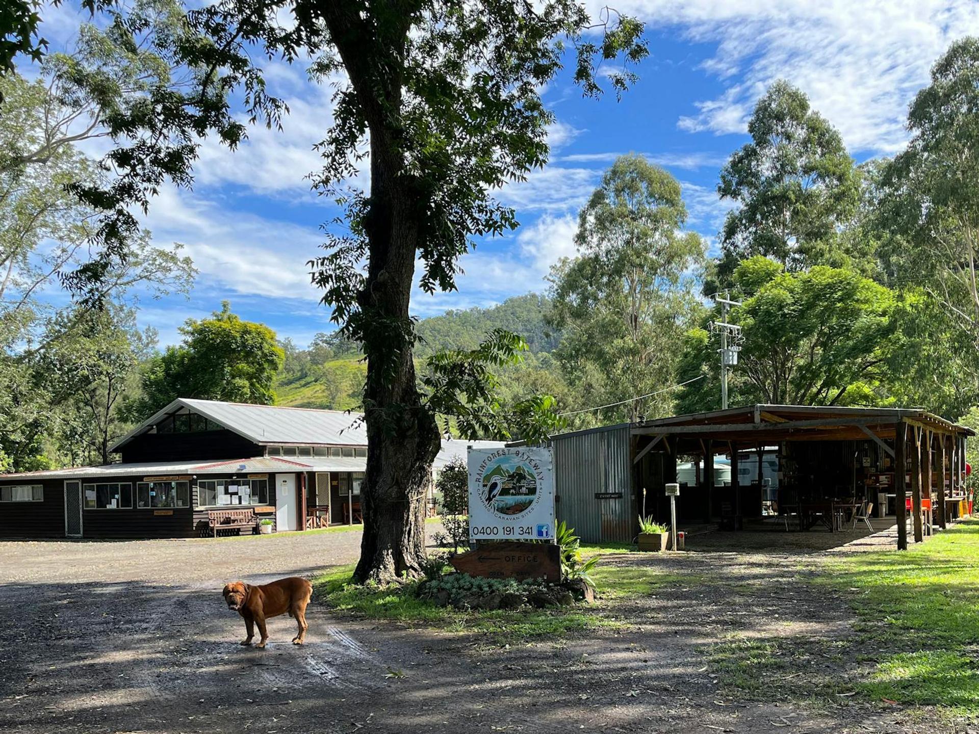 Rainforest Gateway Caravan Park - 3