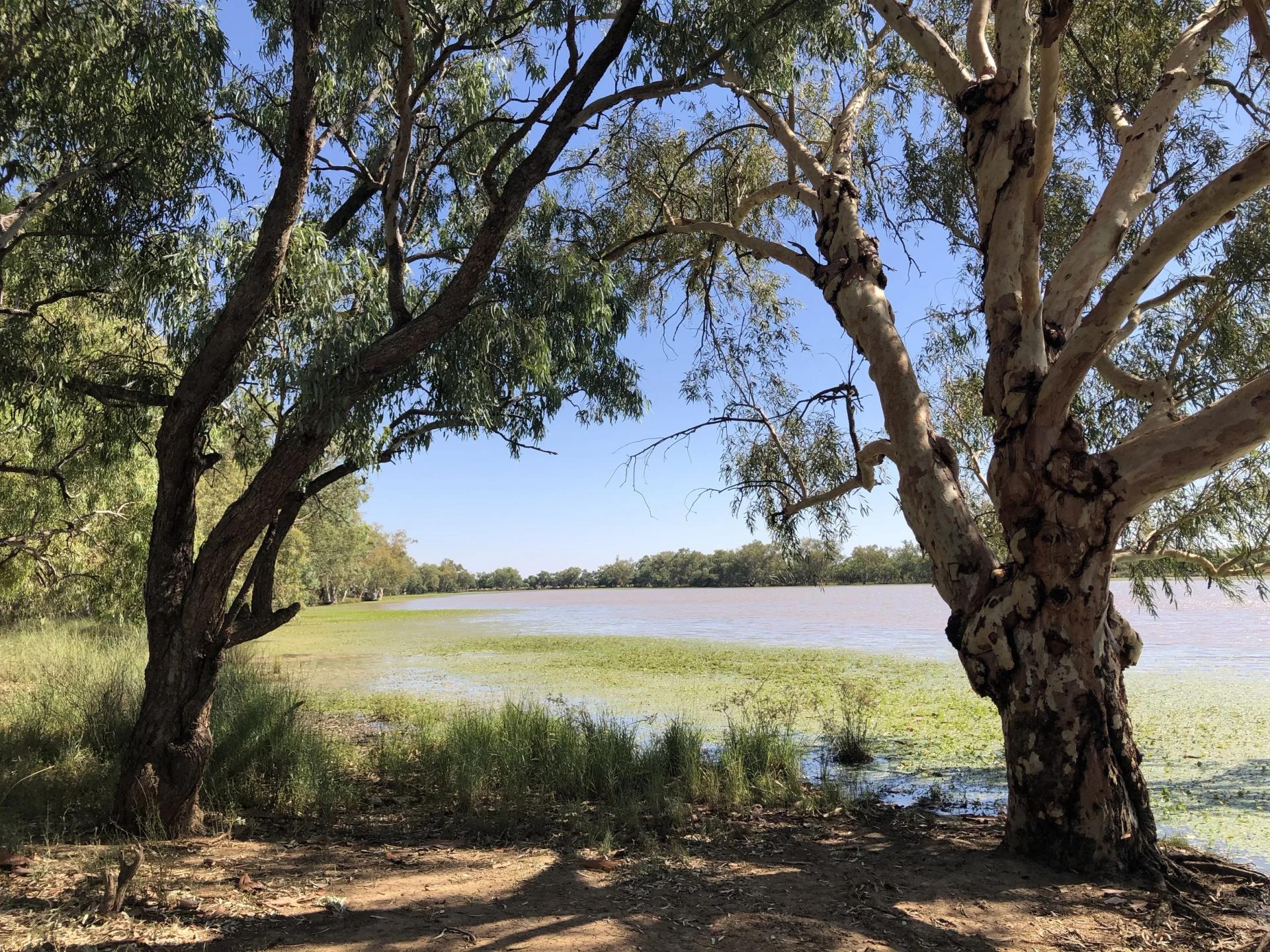 The Lake, Quilpie - 3