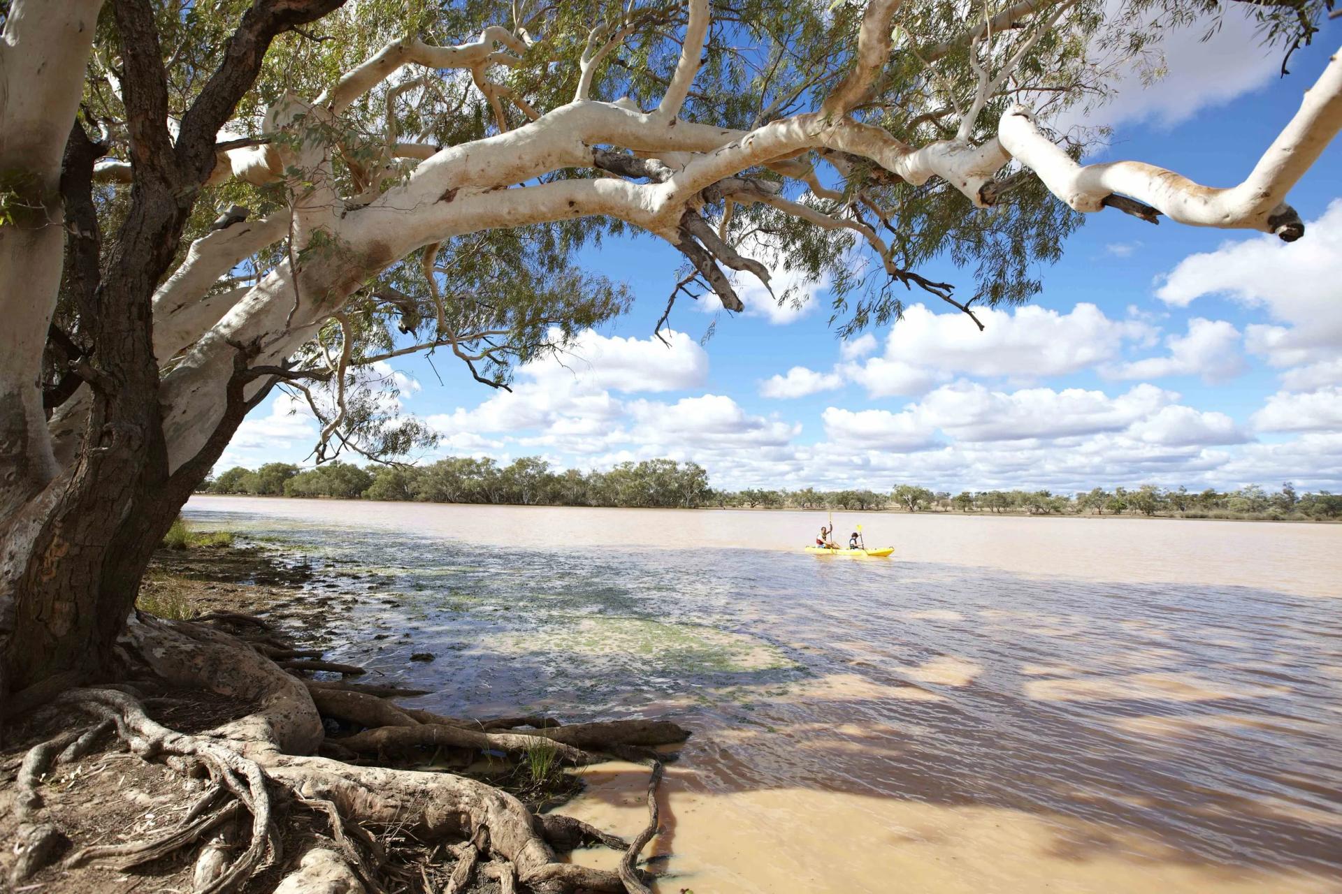 The Lake, Quilpie - 2