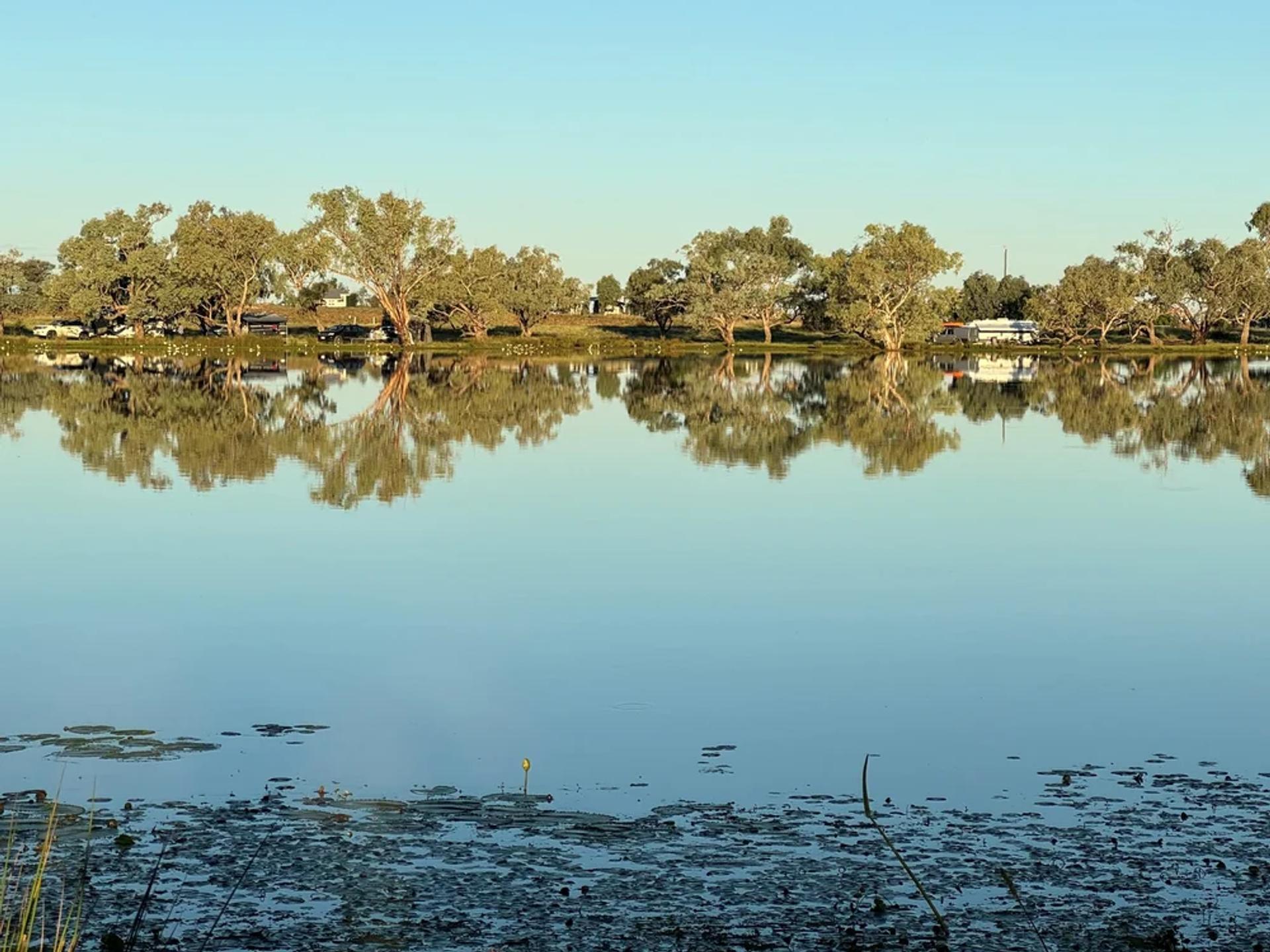 The Lake, Quilpie - 5