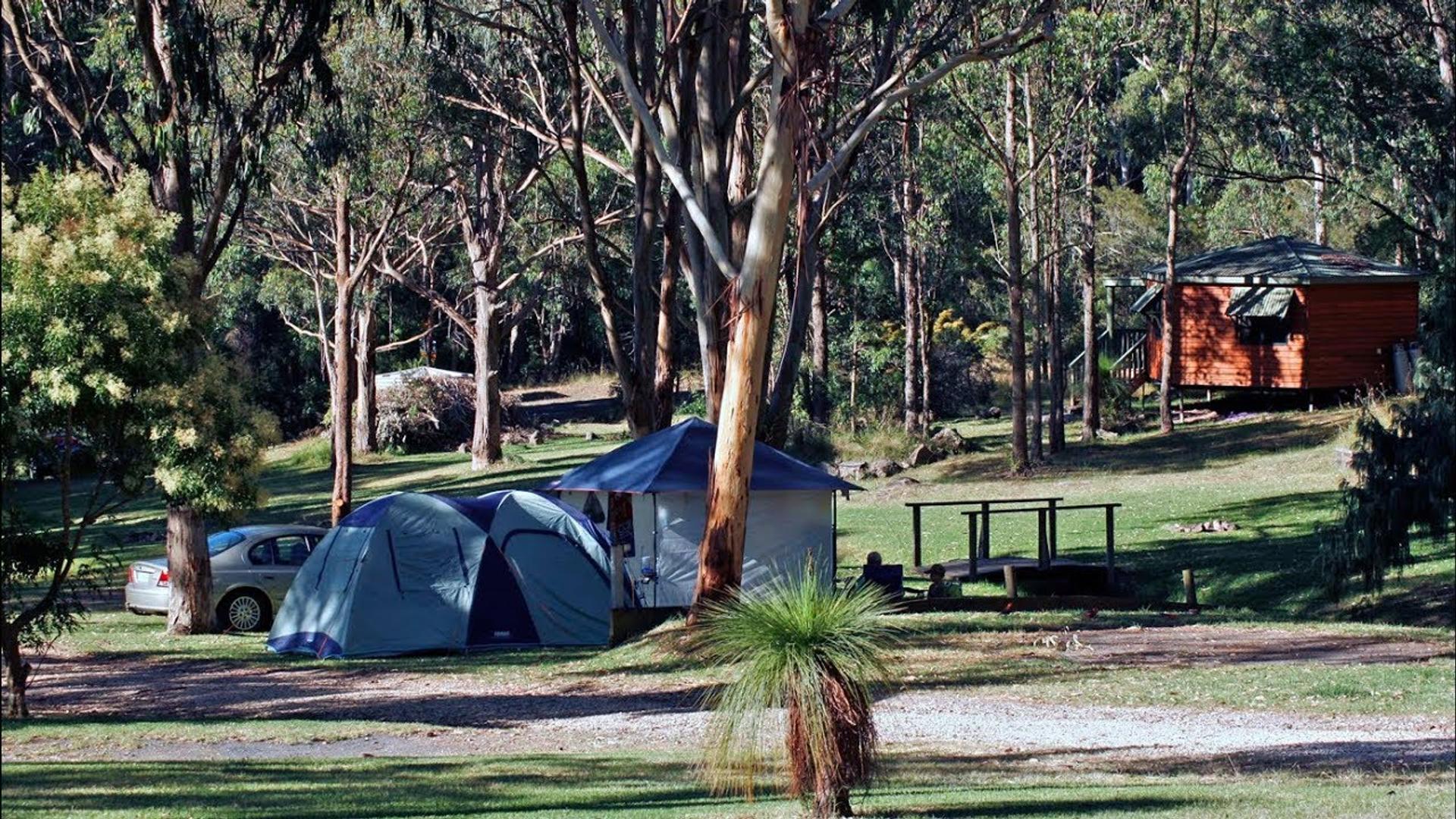 Queen Mary Falls Caravan Park - 4