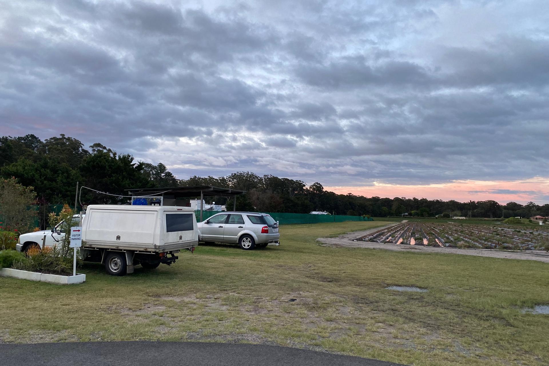 Beerwah Caravan Park - 2