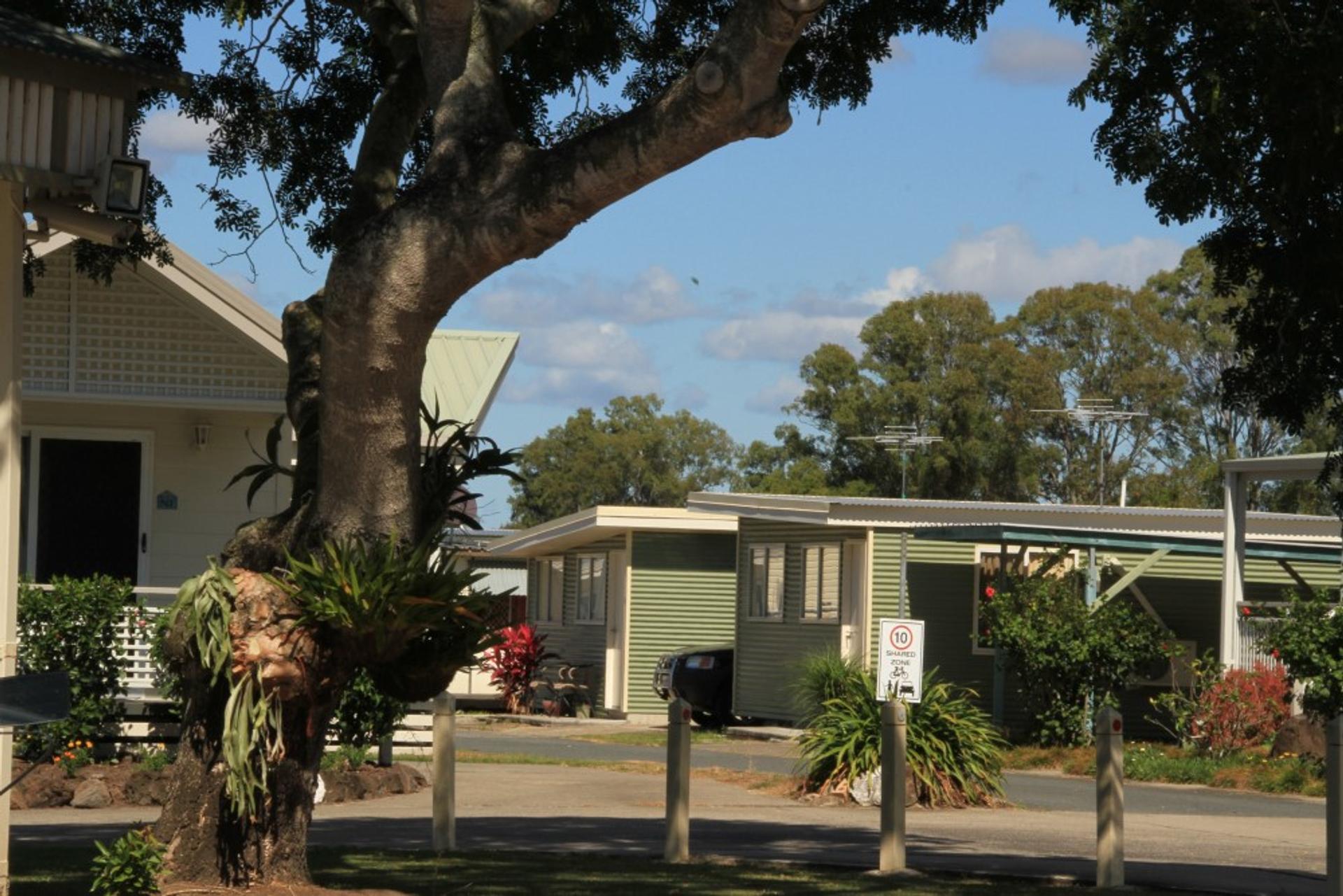 Caboolture River Caravan Park - 1