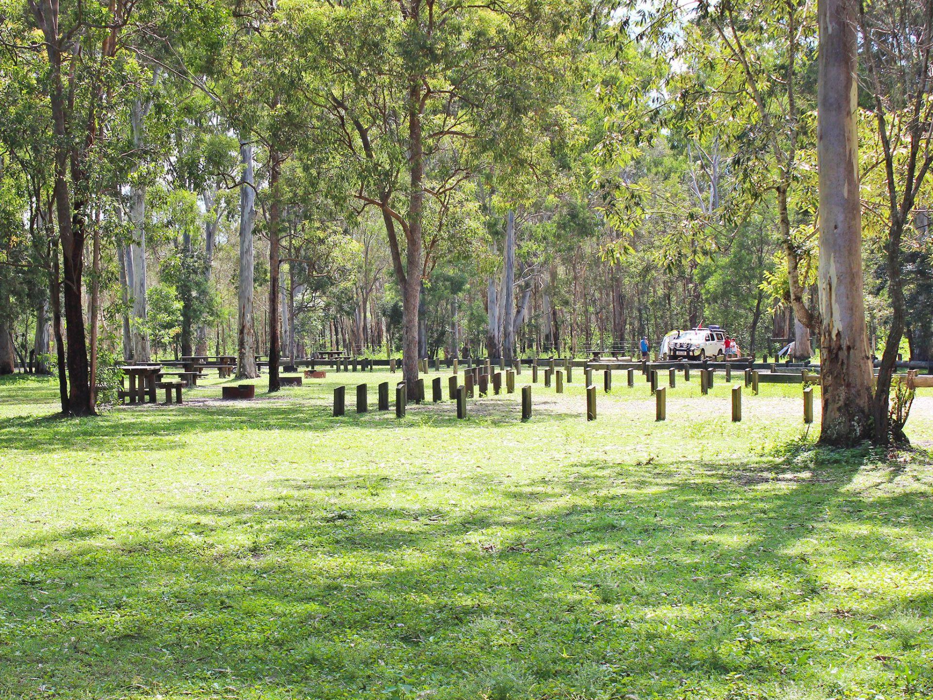 Caboolture River Caravan Park - 4