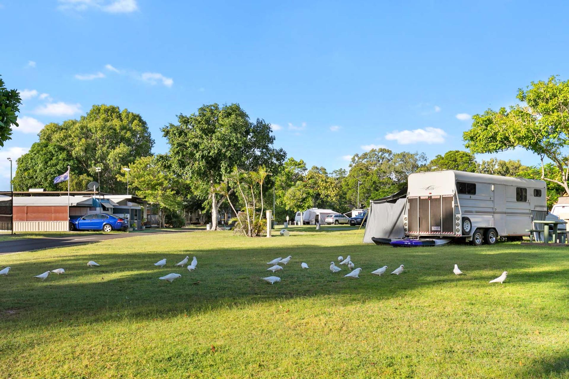 Hervey Bay Caravan Park - 4