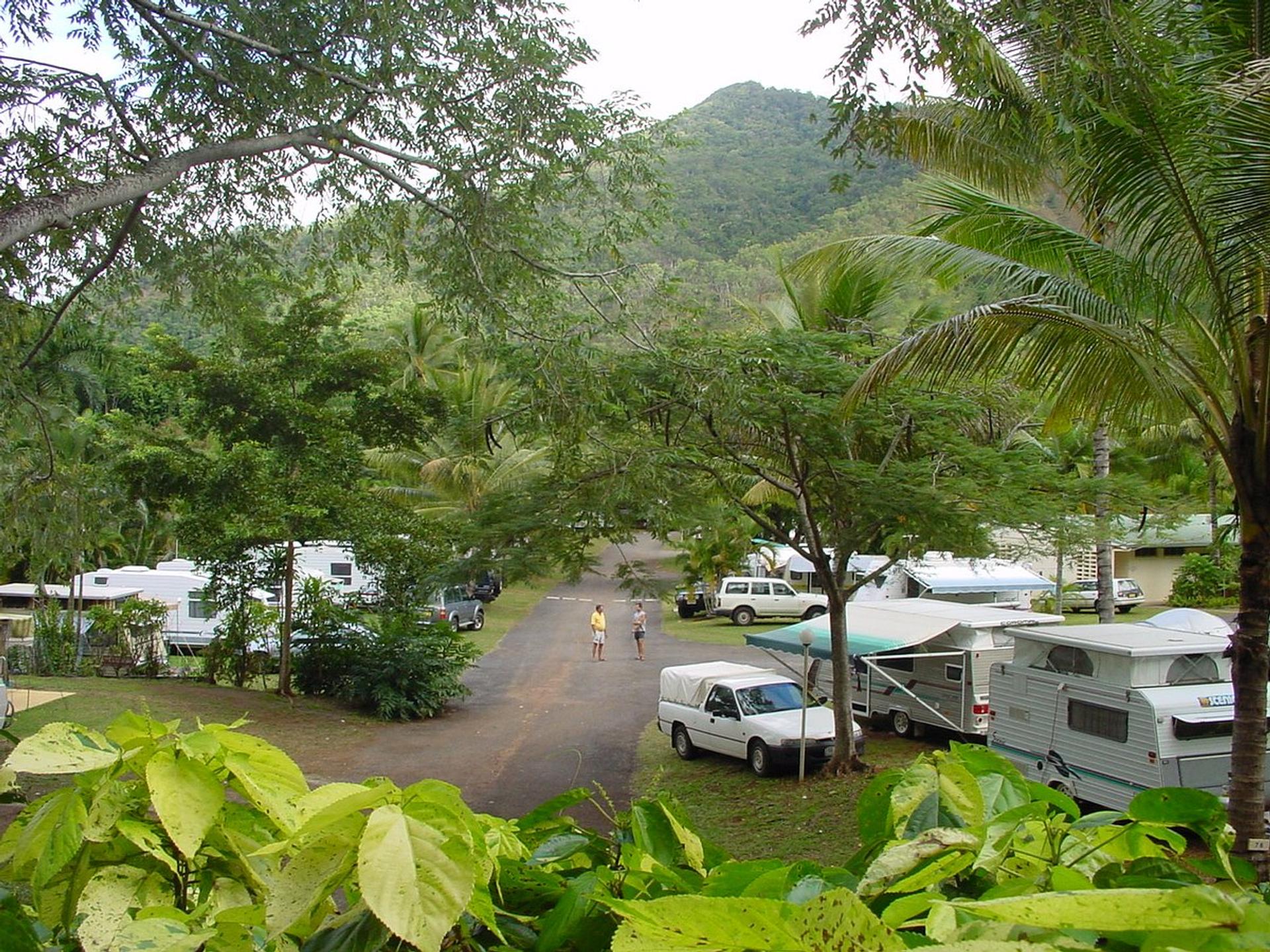 Mareeba Country Caravan Park - 3