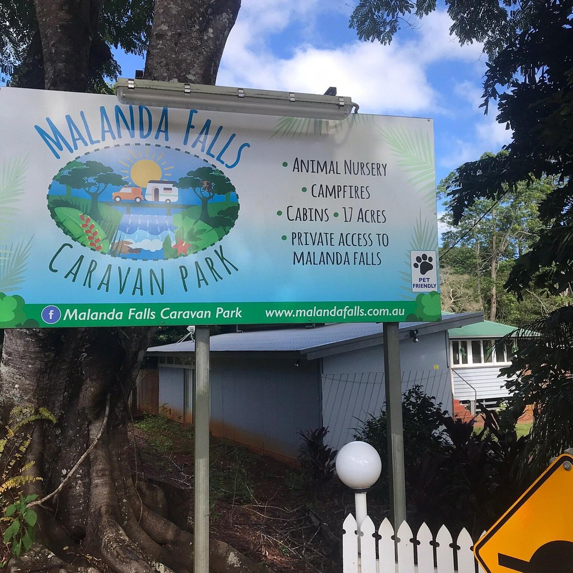 Malanda Falls Caravan Park - 2