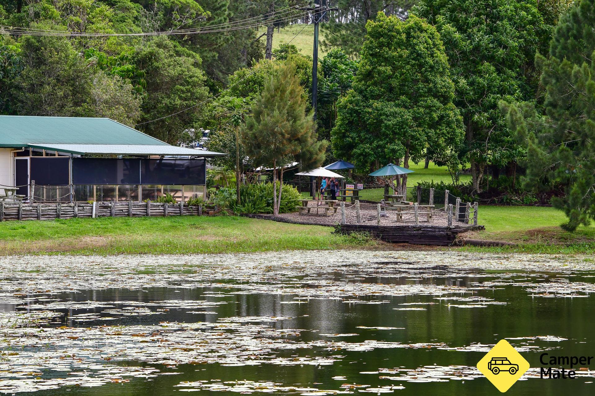 The Australian Platypus Park at Tarzali Lakes - 1