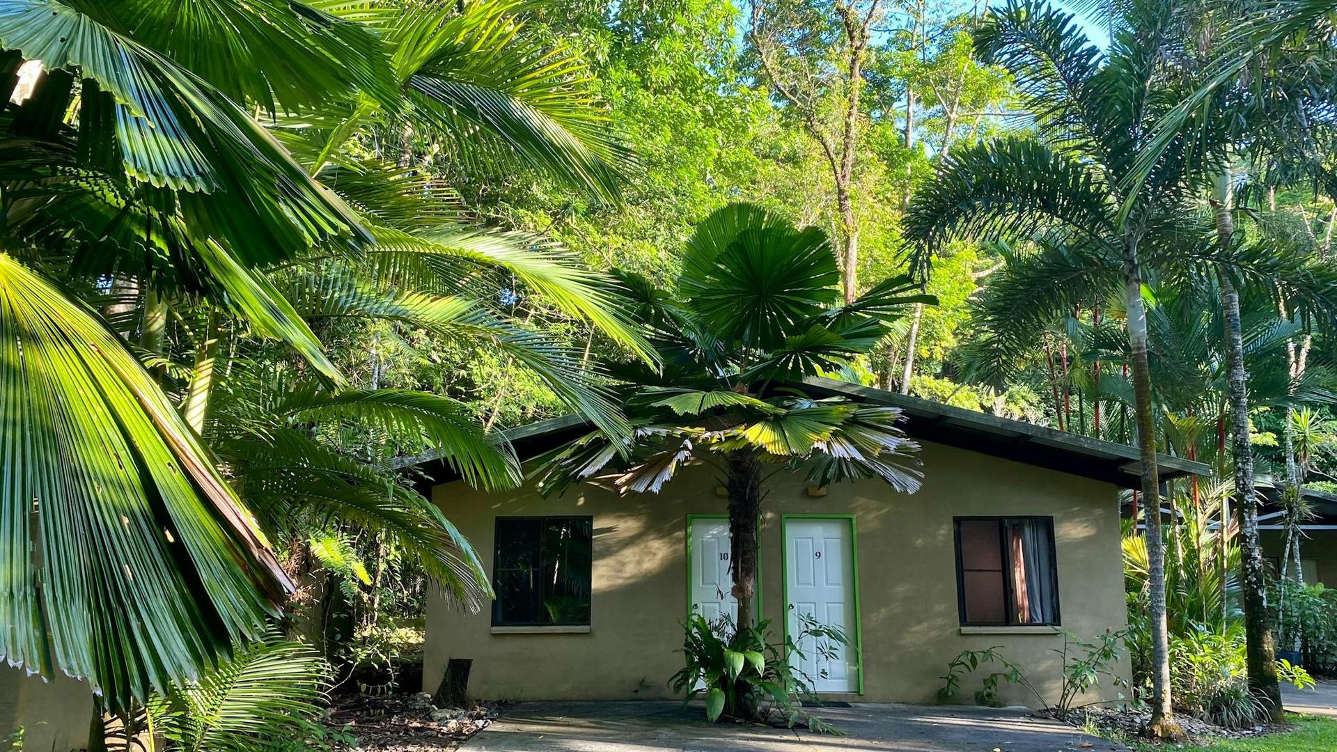 Daintree Siesta - 3