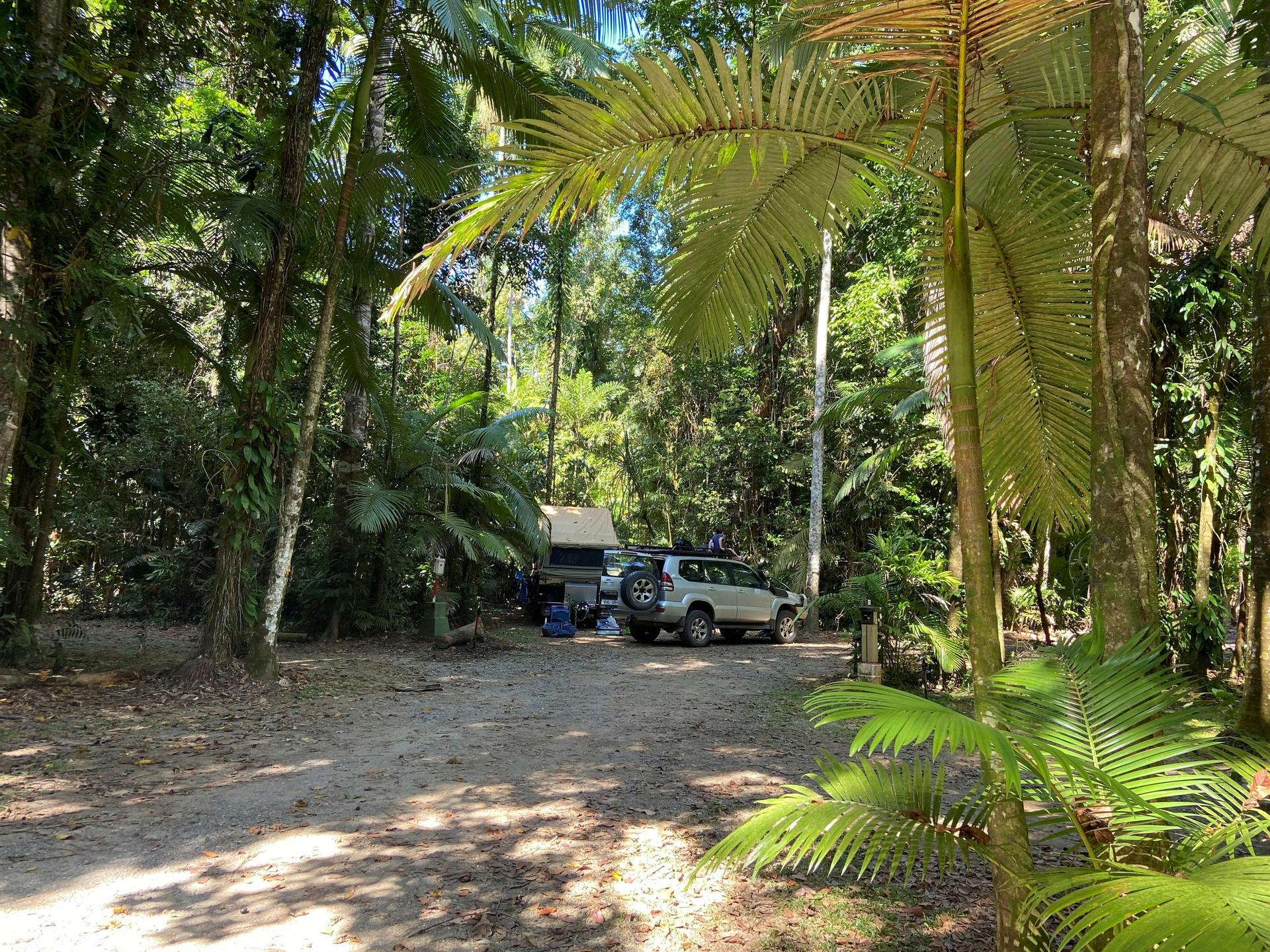 Daintree Siesta - 5