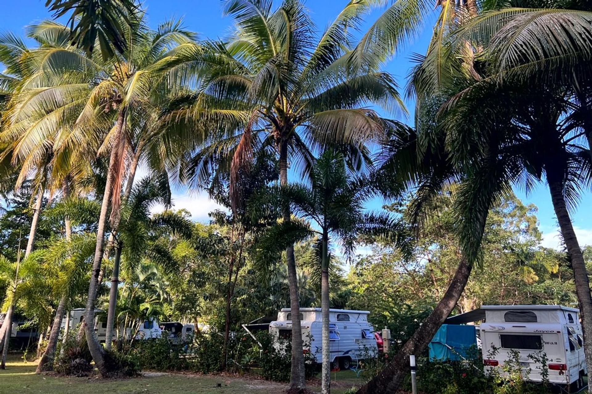 Wonga Beach Caravan Park - 5
