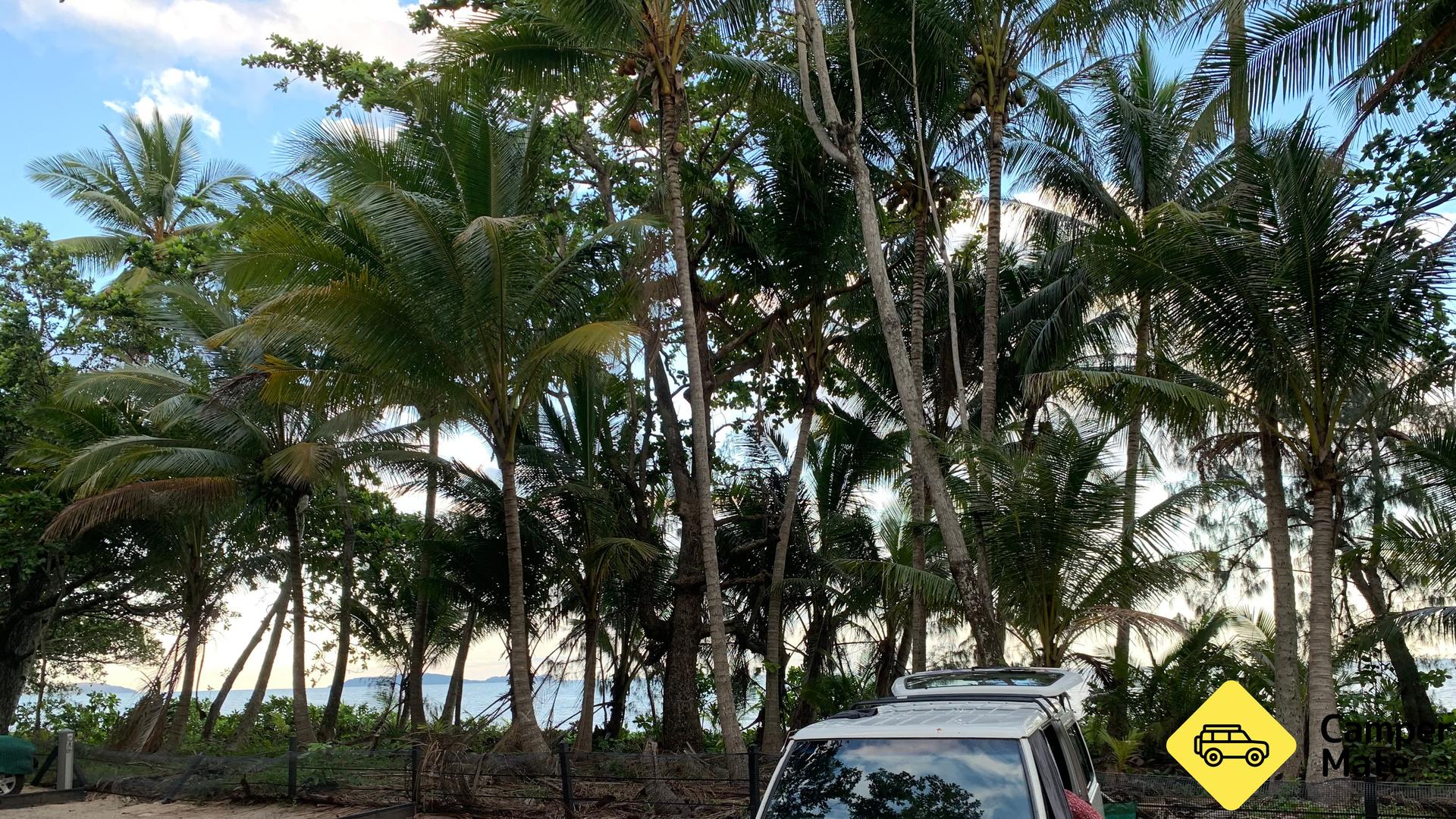 Wonga Beach Caravan Park - 4