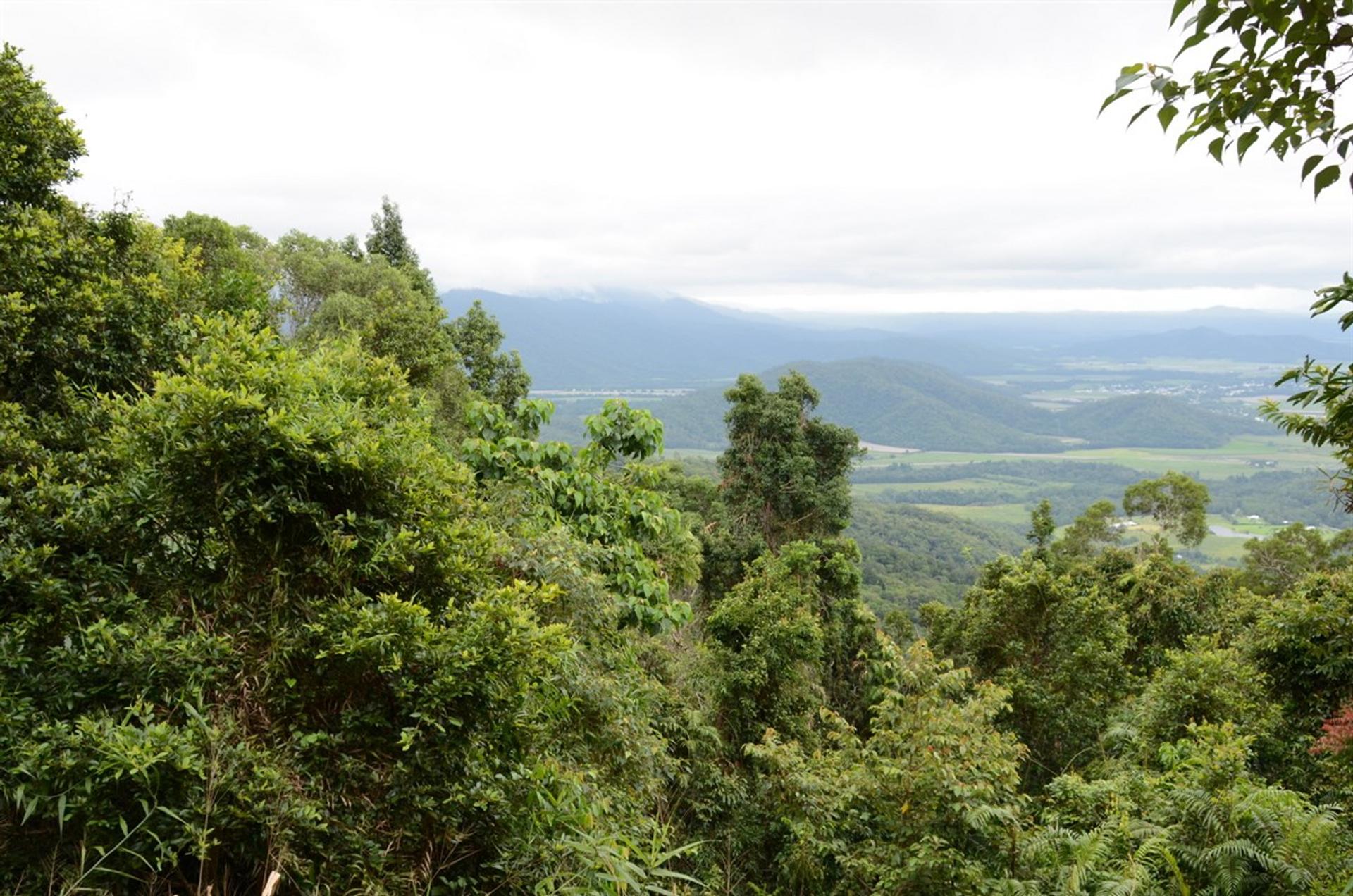 Julatten Tablelands Van Park - 3