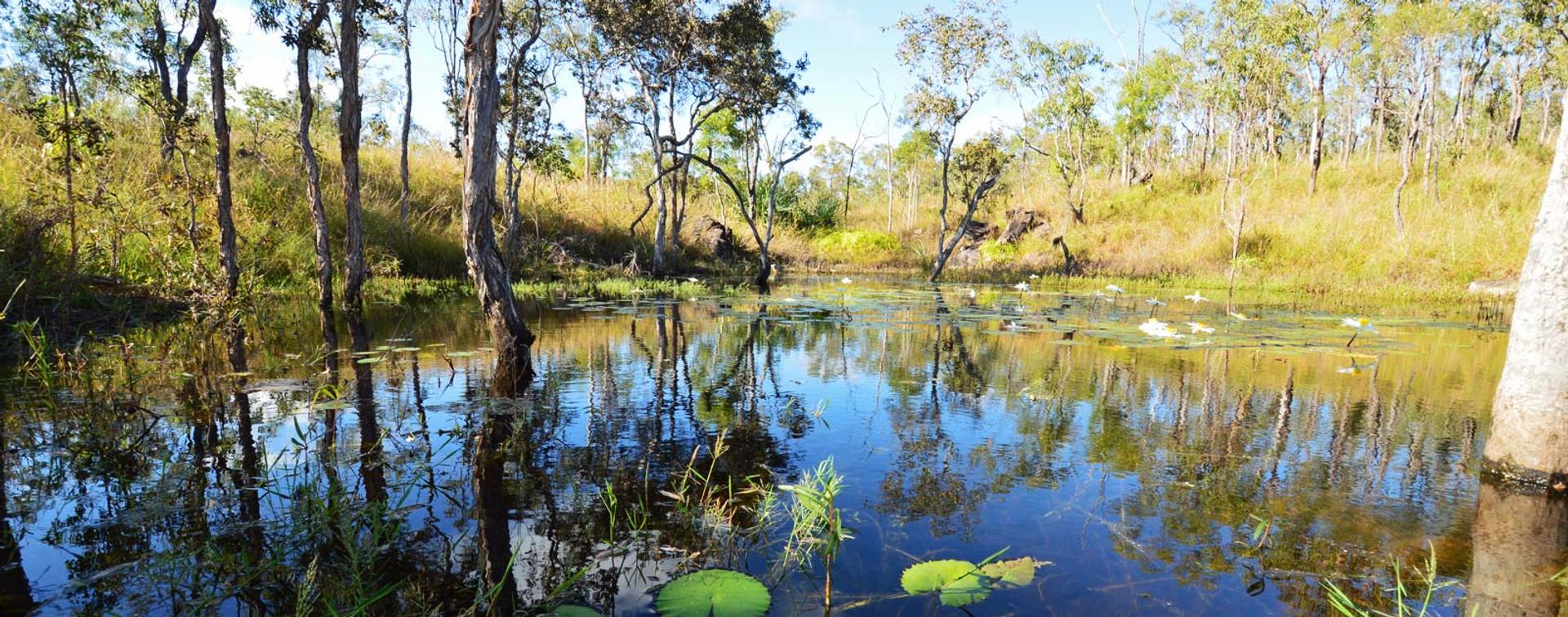 Mareeba Bush Stays