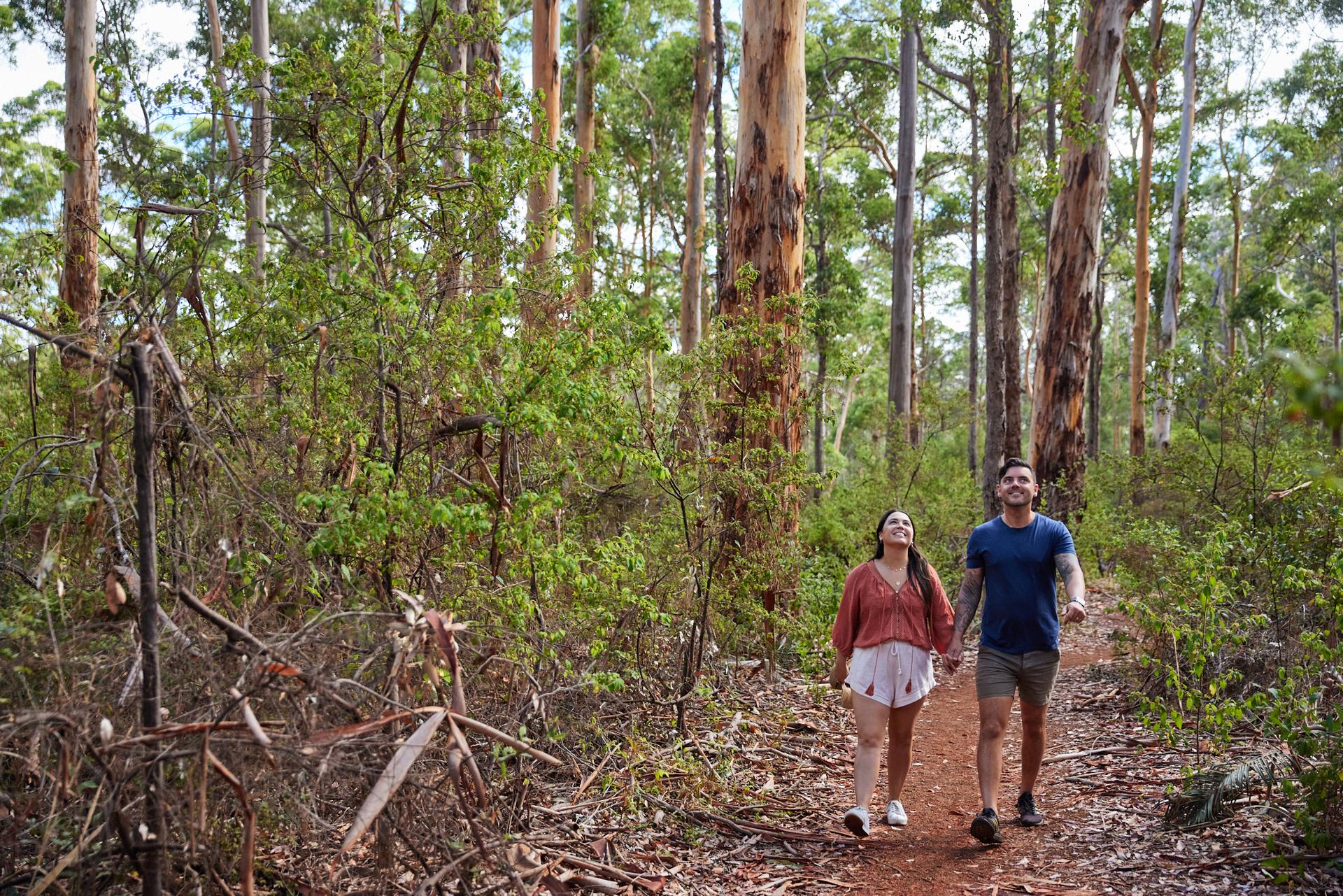 RAC Margaret River Nature Park - 3