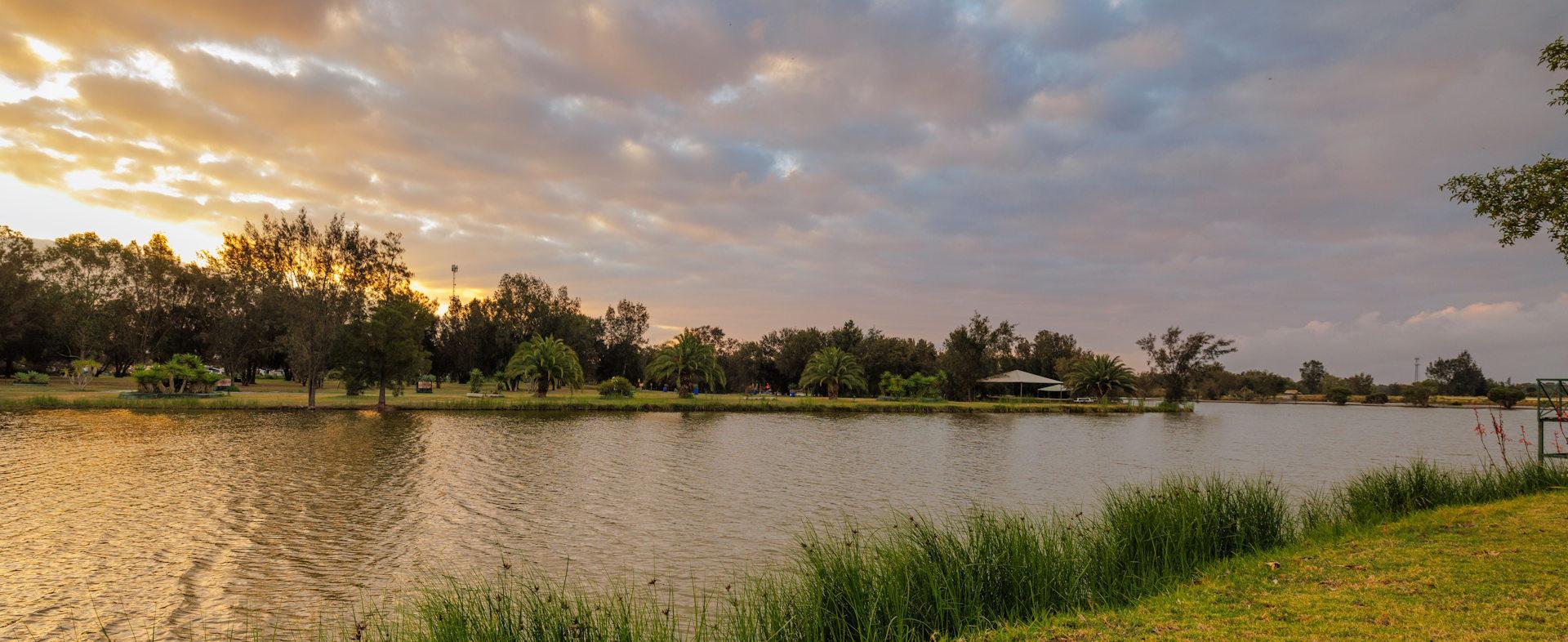 Golden Ponds