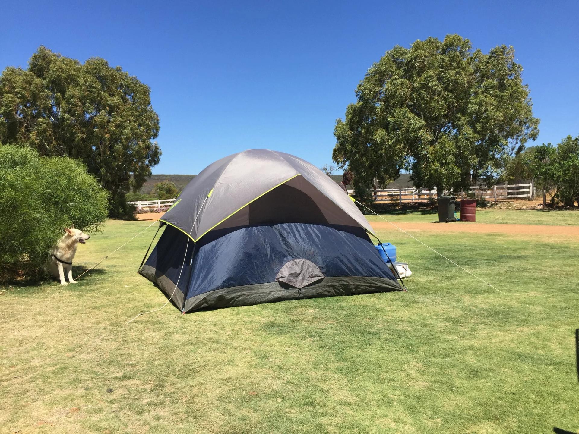 Big River Ranch Kalbarri - 5