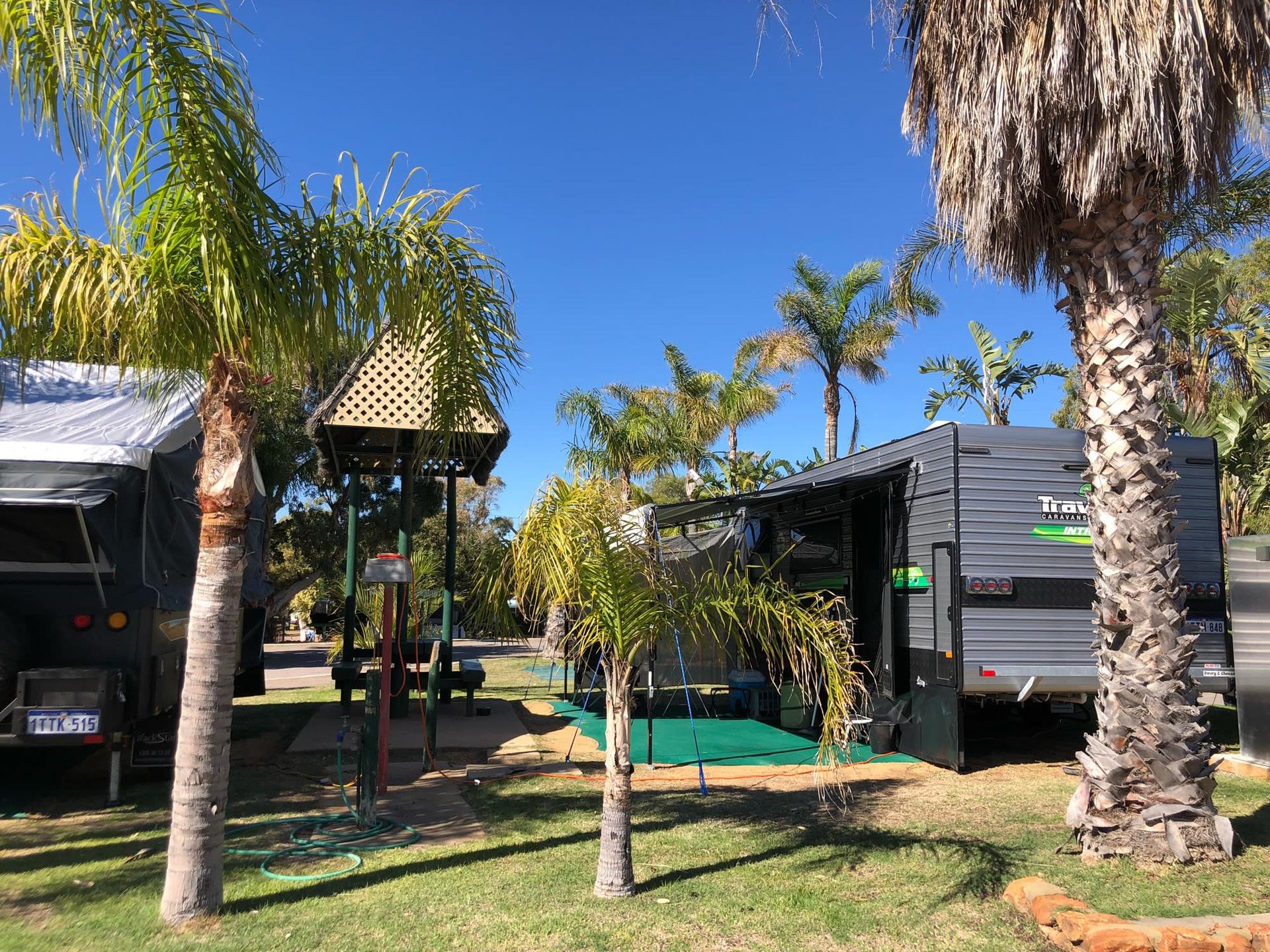Wagoe Cabins & Campsite - 2