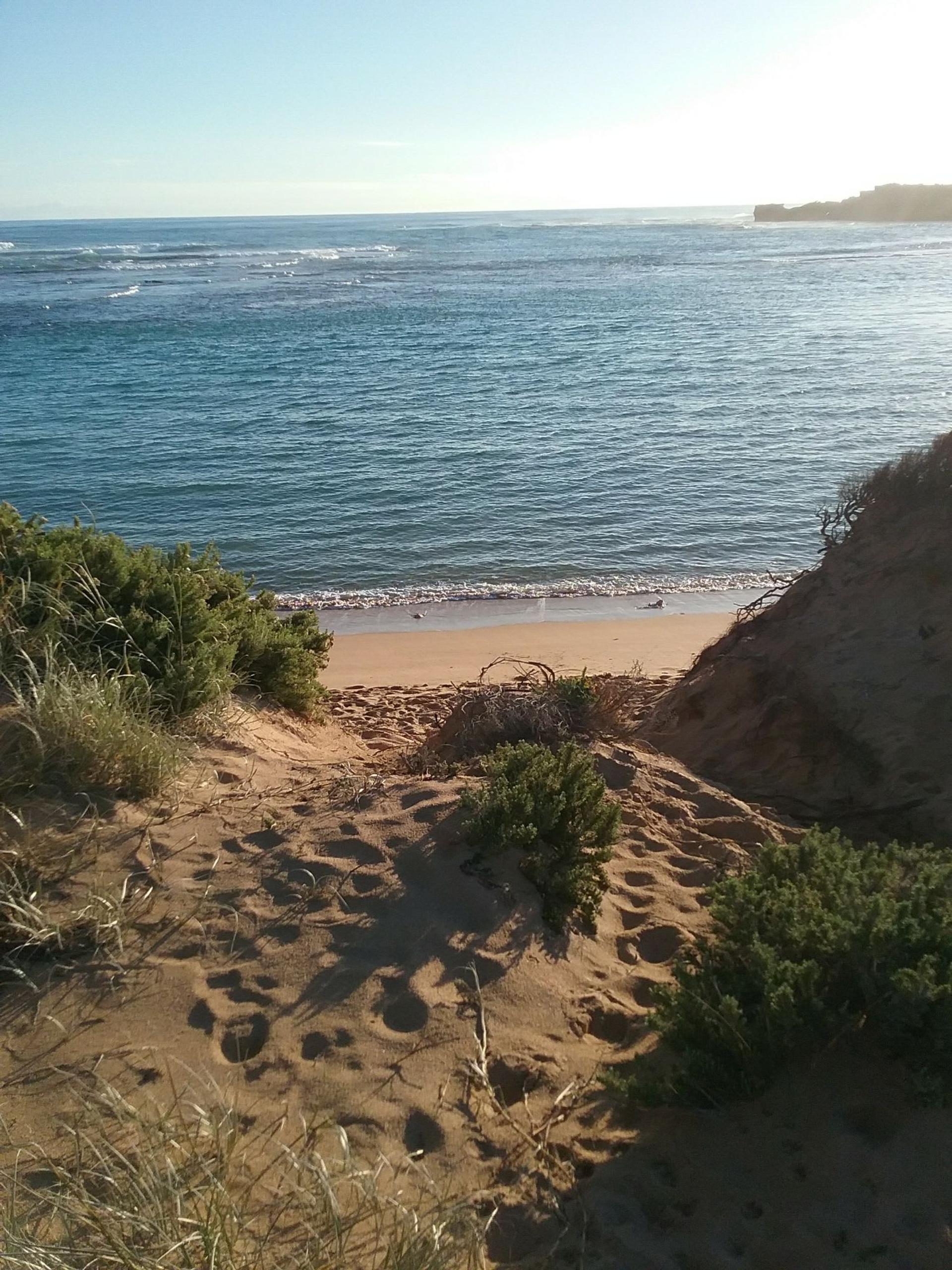 Southend Tourist Park - 3