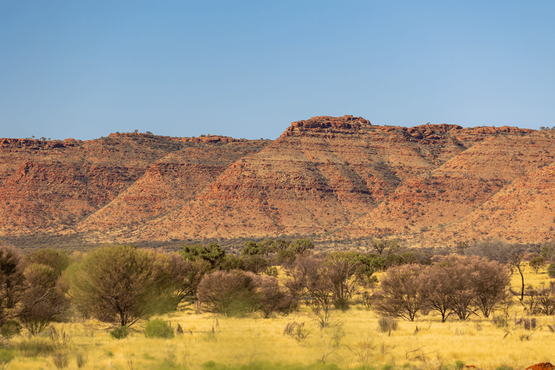 Discovery Resorts - Kings Canyon - 4