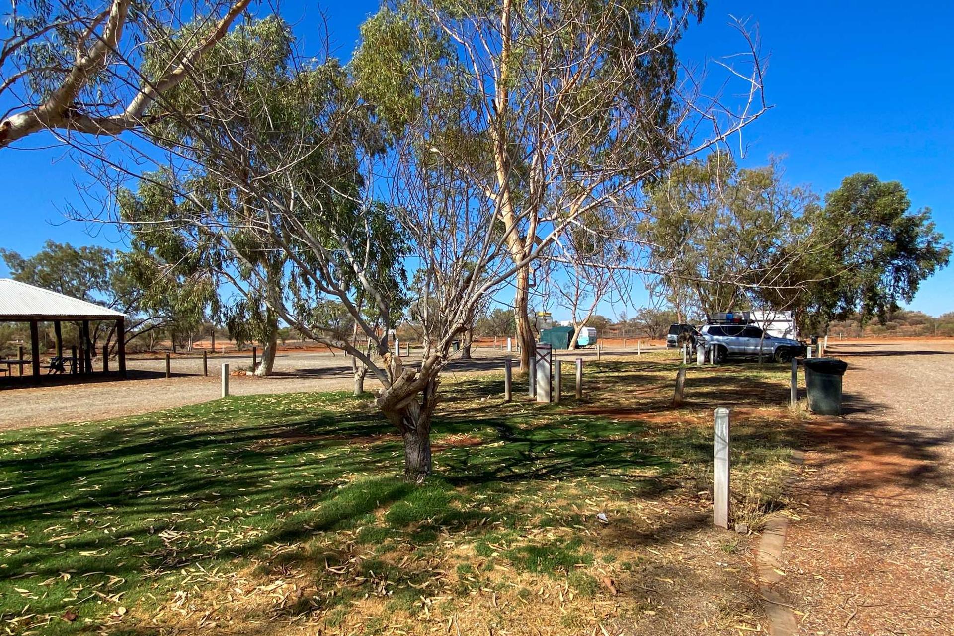 Erldunda Roadhouse Desert Oaks - 2