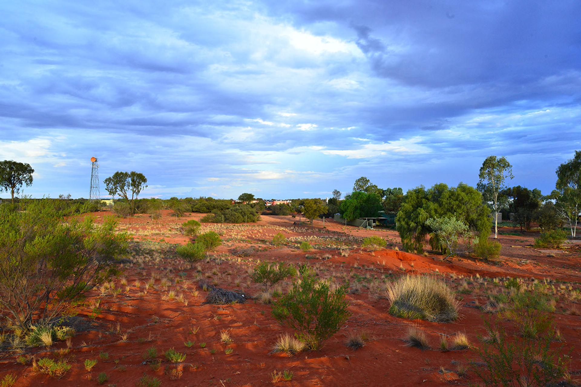 Erldunda Roadhouse Desert Oaks - 5