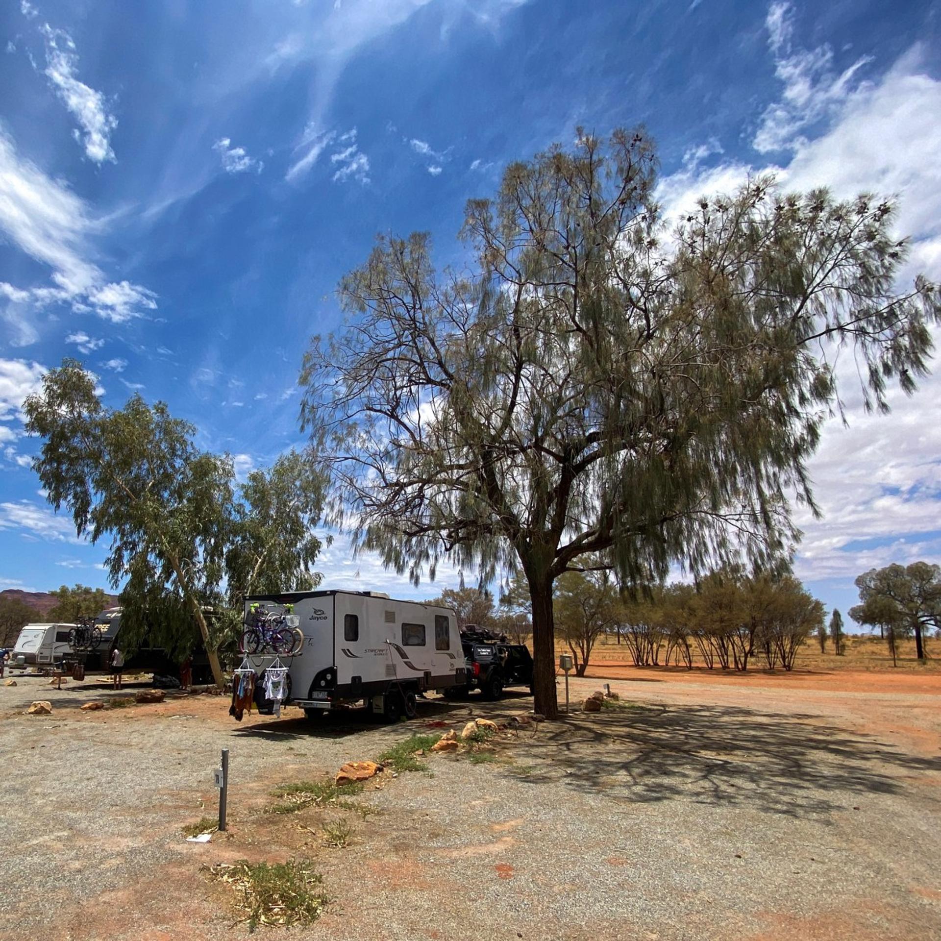 Erldunda Roadhouse Desert Oaks - 1