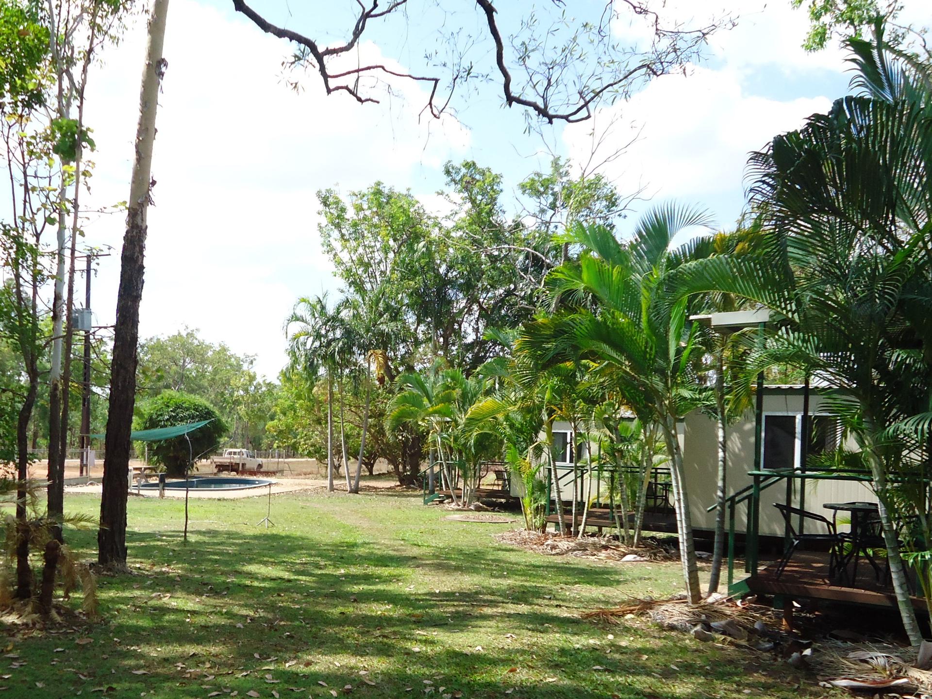 Pandanus on Litchfield - 2