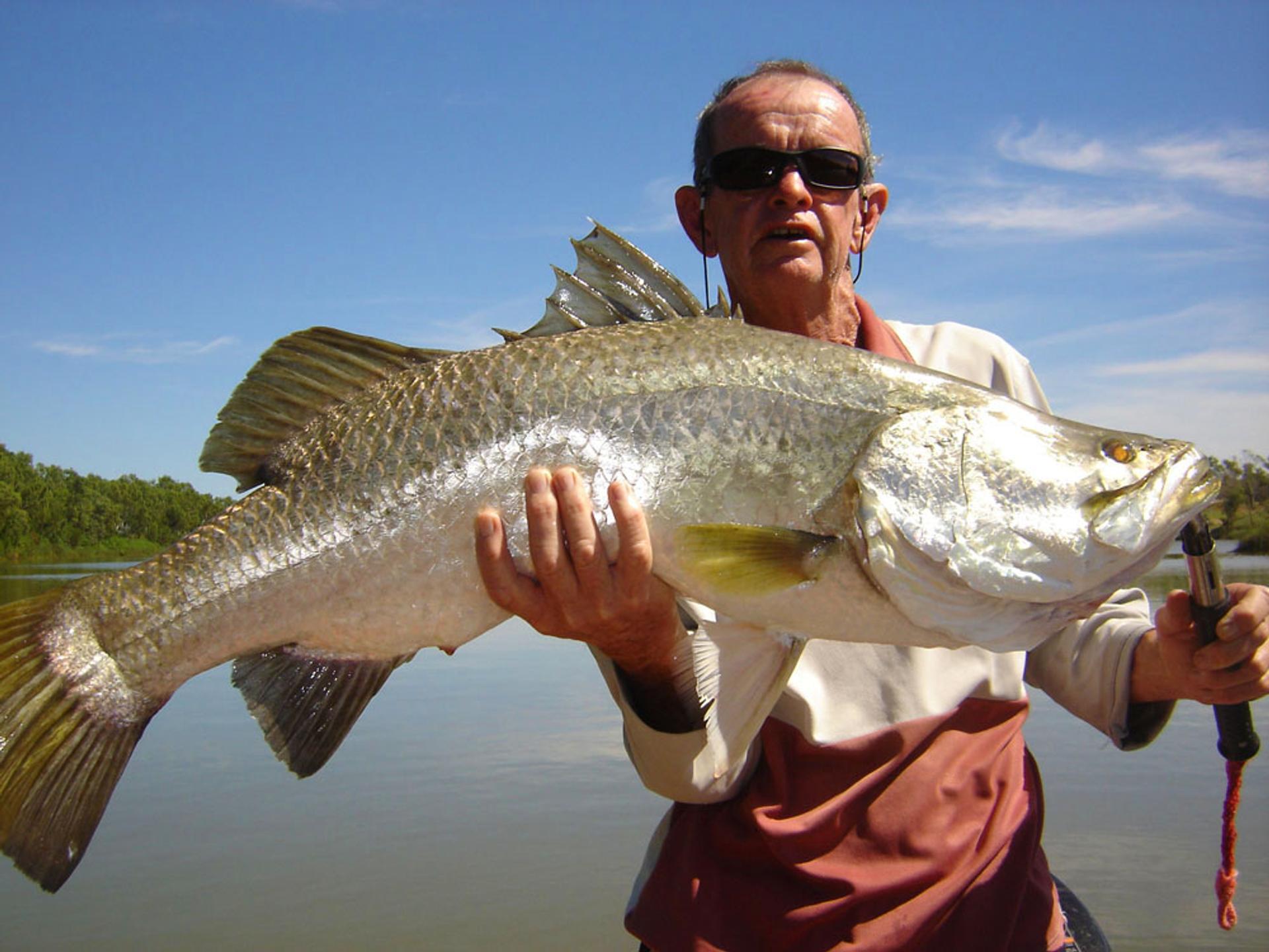 King Ash Bay - 1