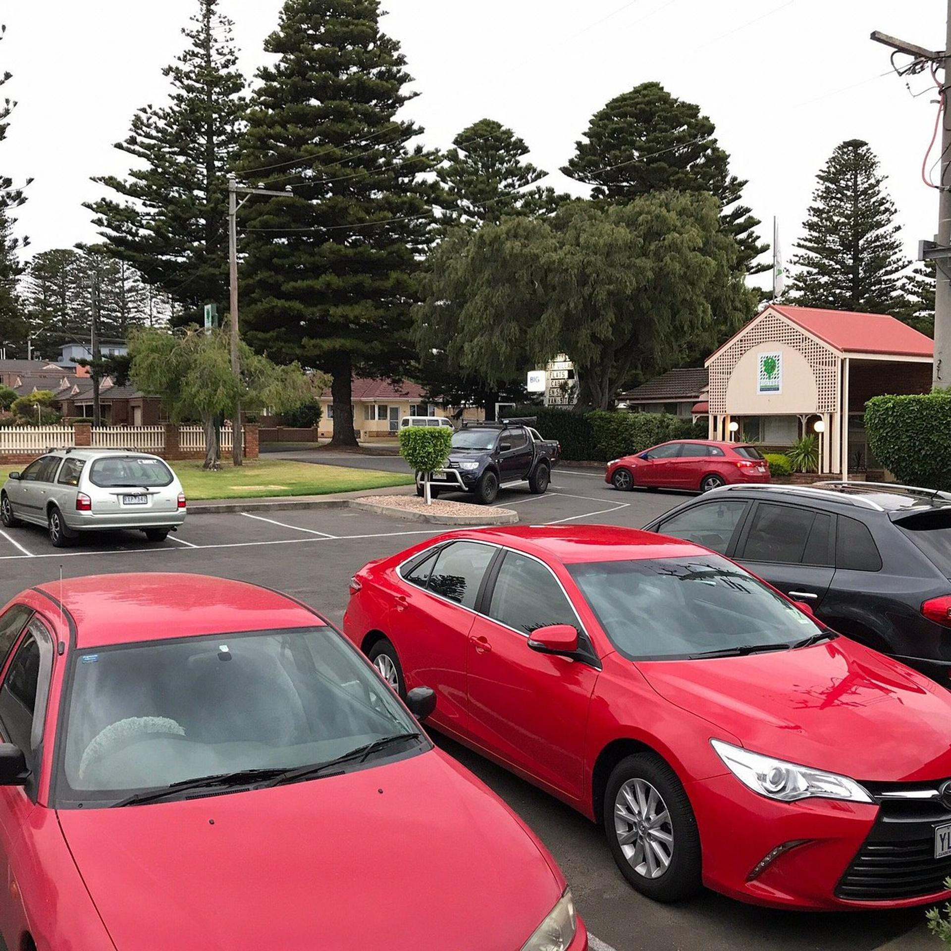 Figtree Holiday Village - 5