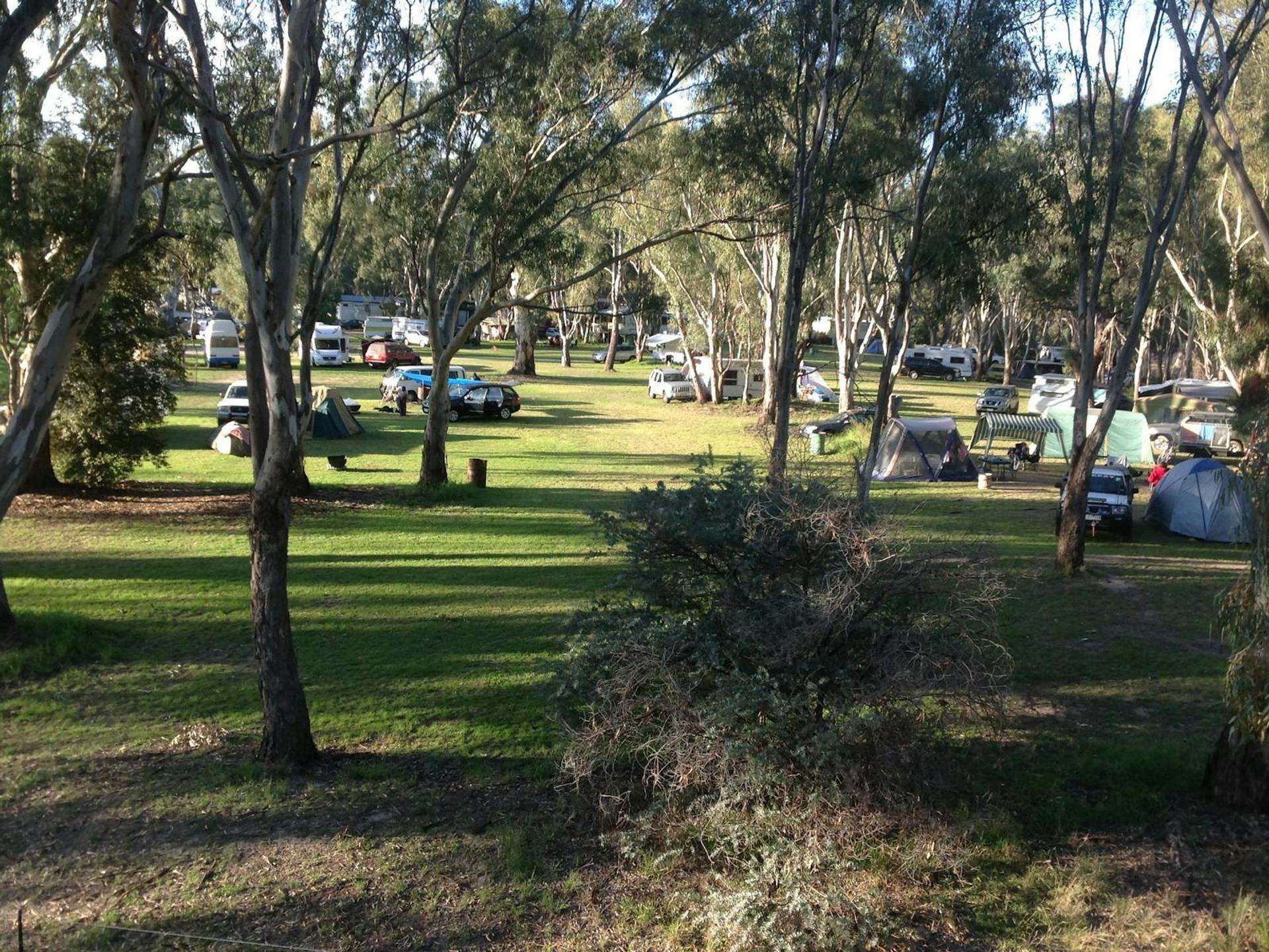 Deniliquin Riverside Caravan Park - 4