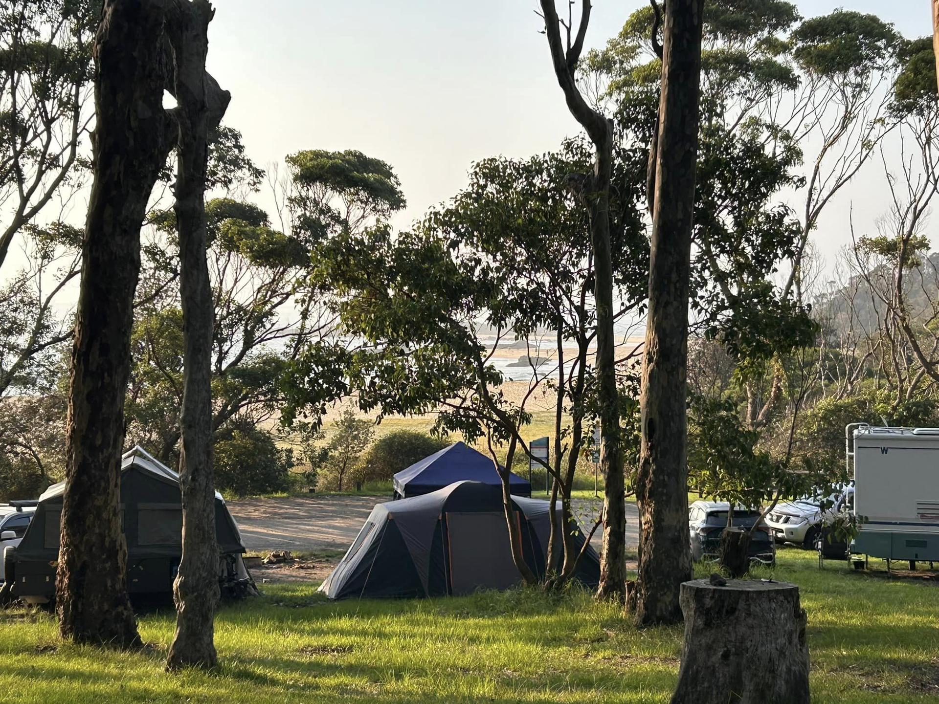 Mystery bay - 1