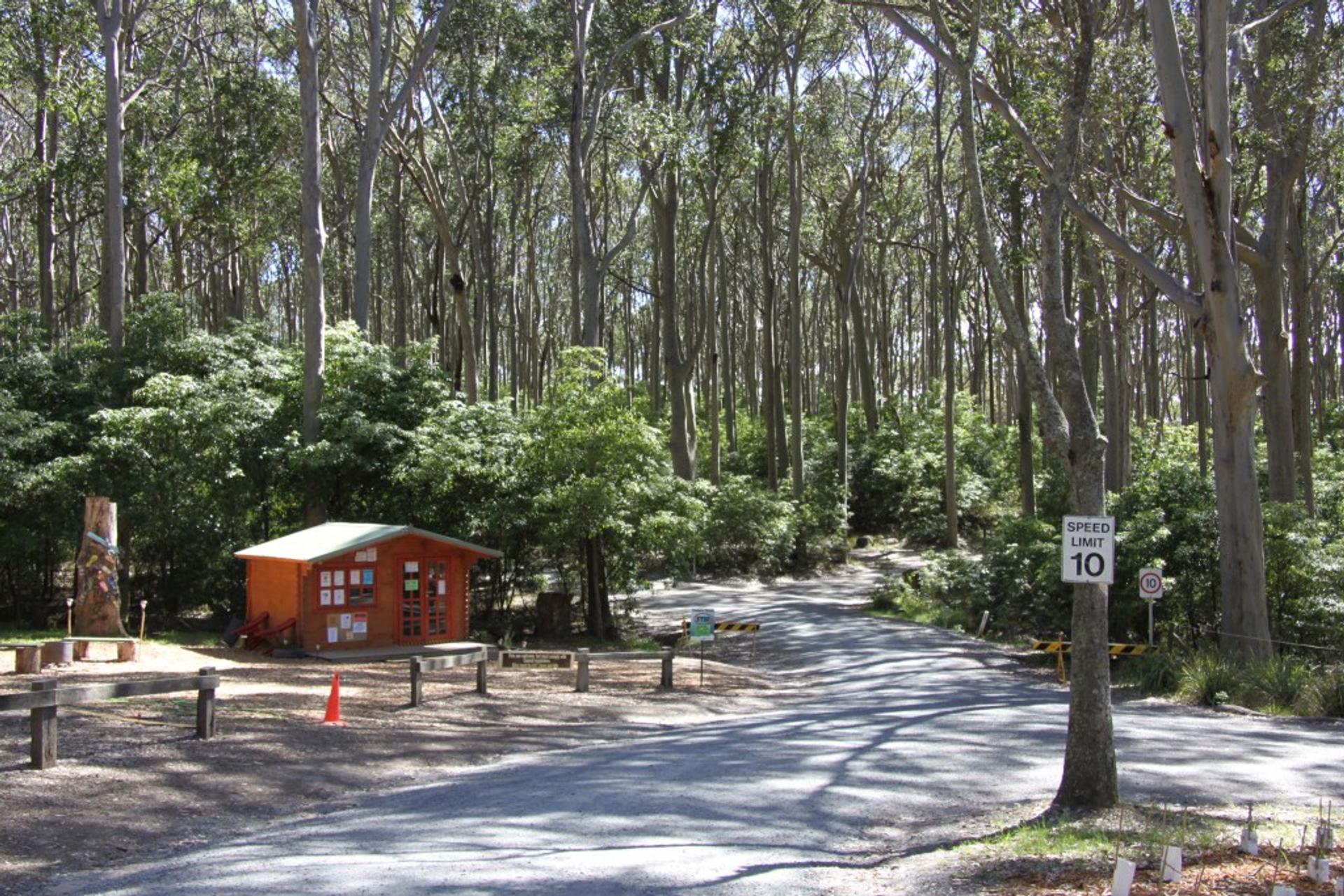 Mystery bay - 2