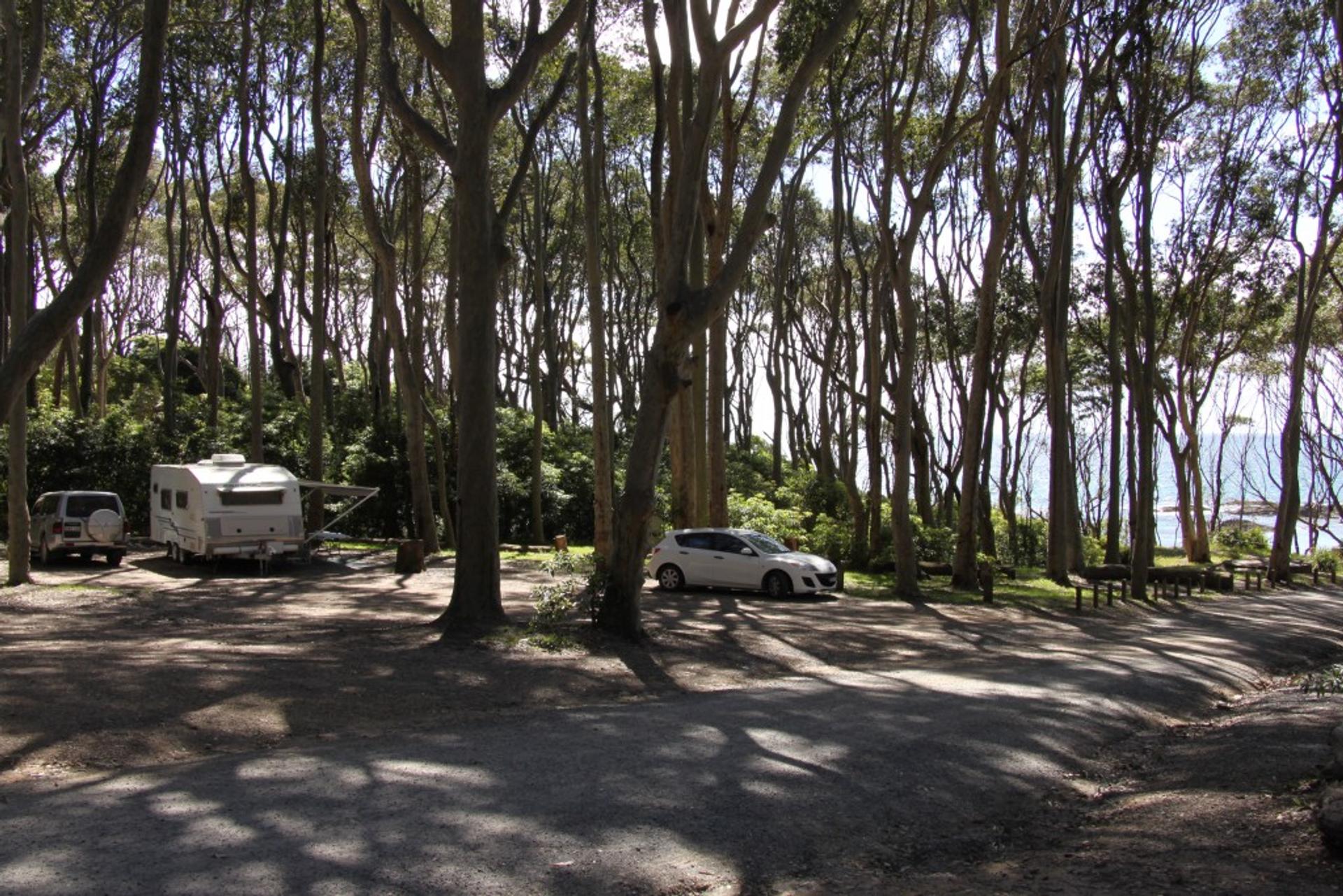 Mystery bay - 4