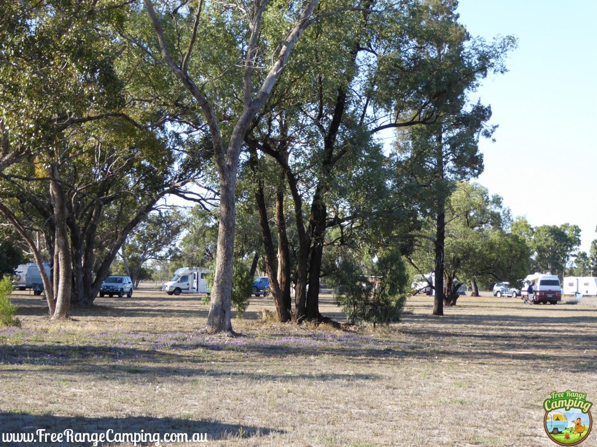 Charleville Bush Camp - 1