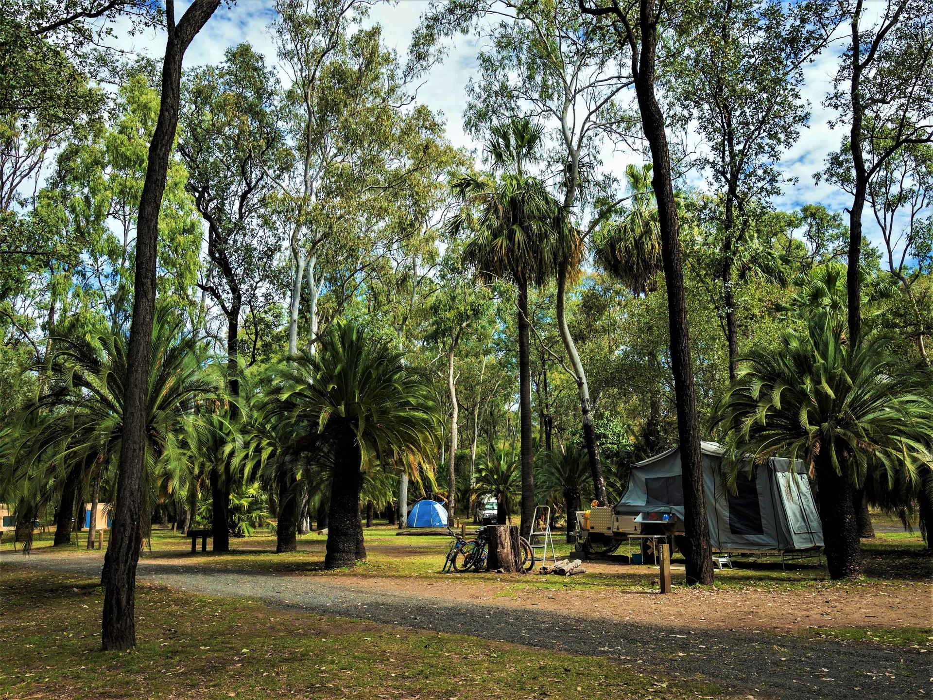 BIG4 Carnarvon Gorge Holiday Park - 4