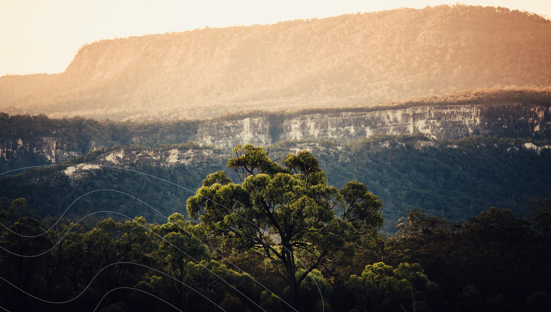 Sandstone Park Carnarvon Gorge - 1
