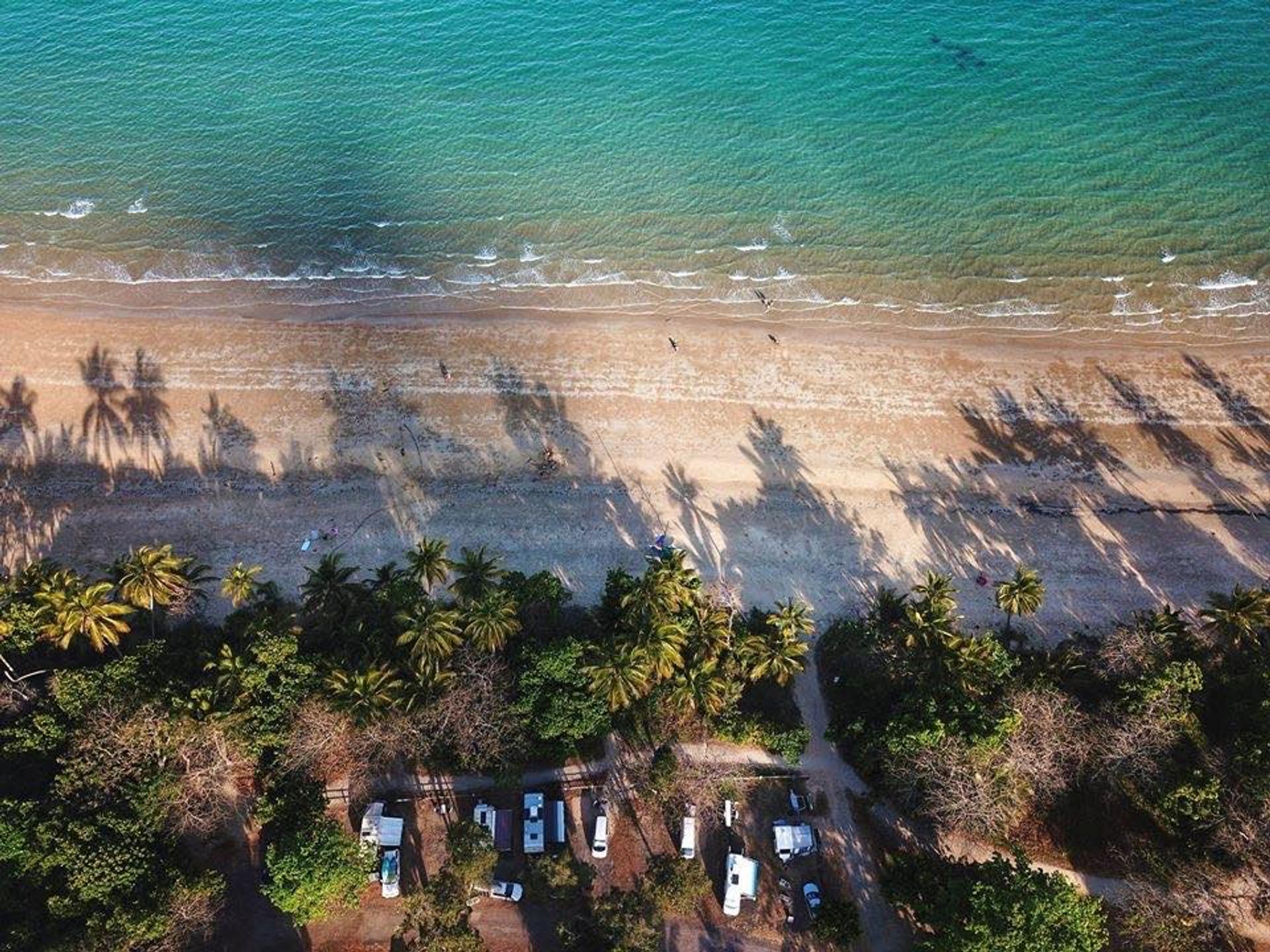 Mission Beach Camping and Caravan Park - 1
