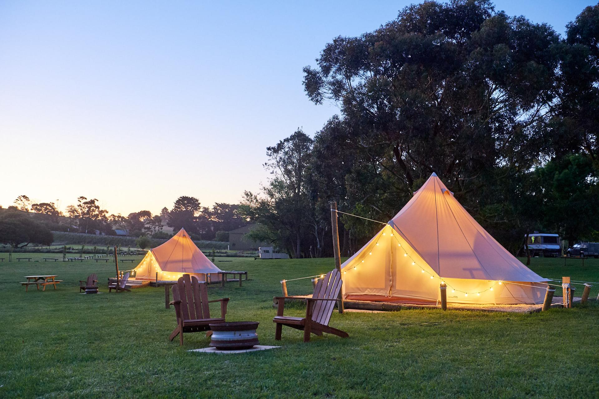Pine Country Caravan Park - 3
