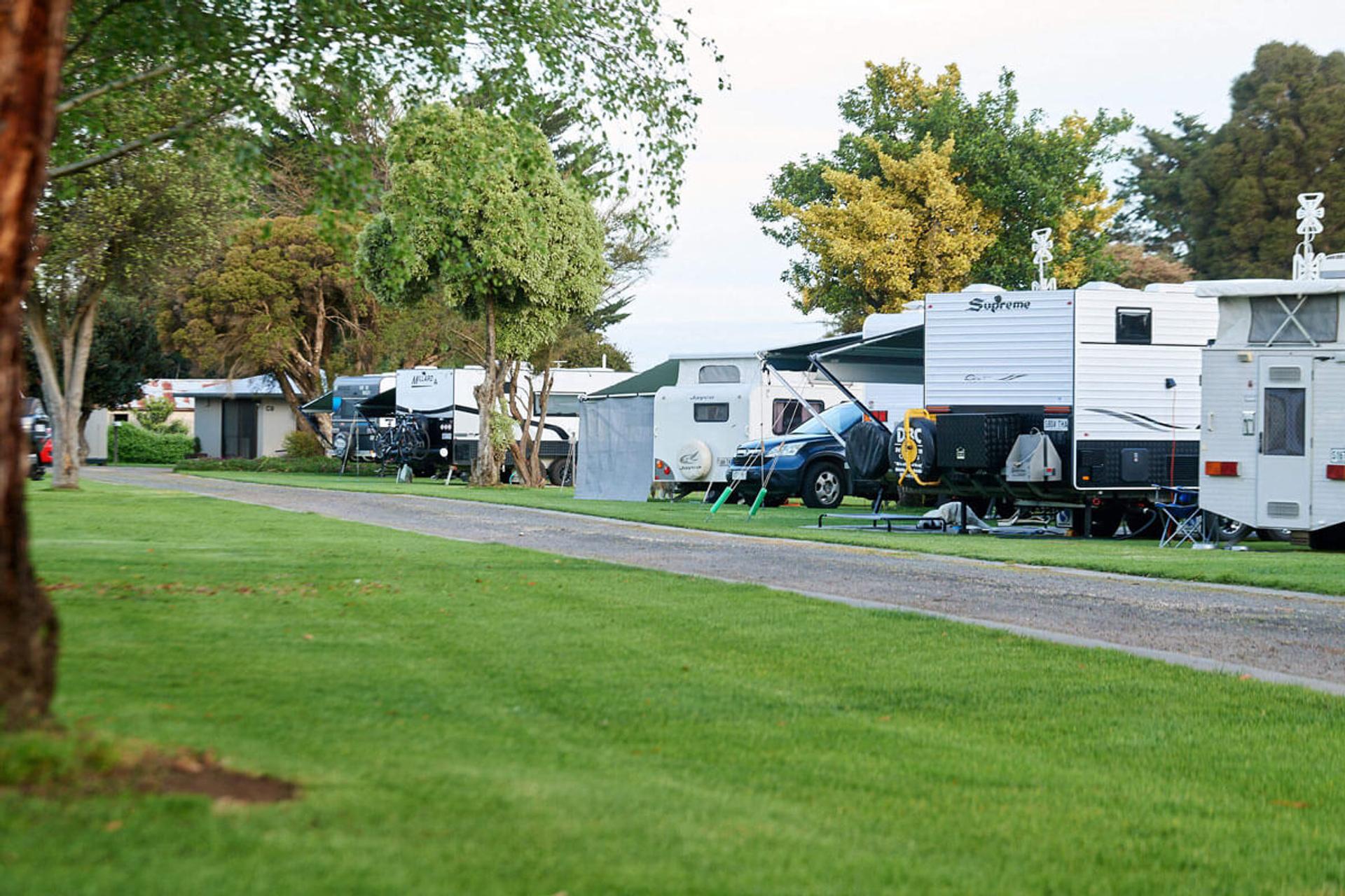 Pine Country Caravan Park - 2