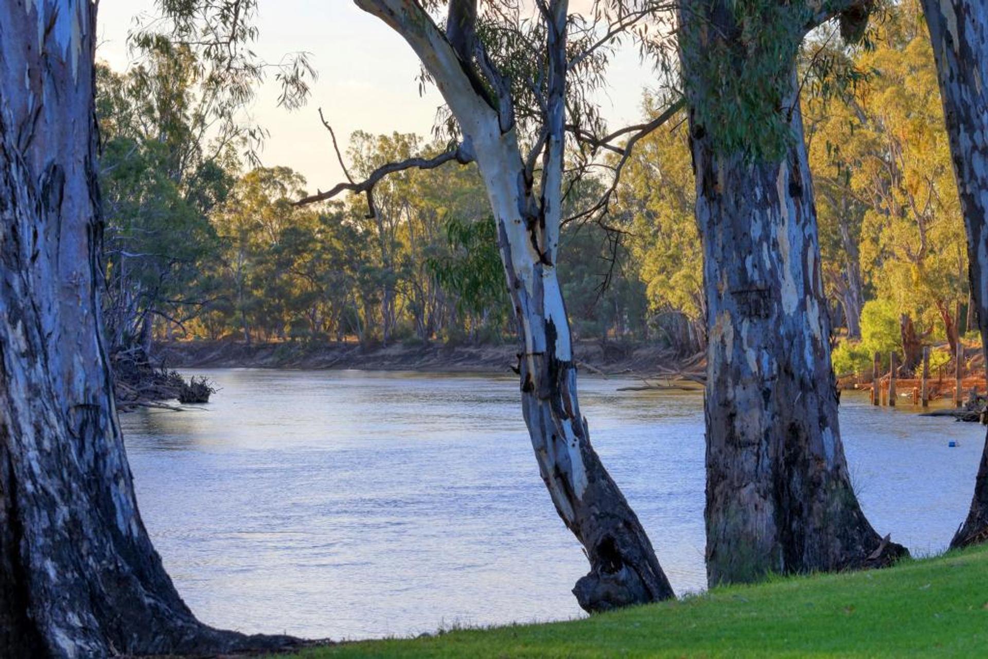 BIG4 Barham Holiday Park - 1