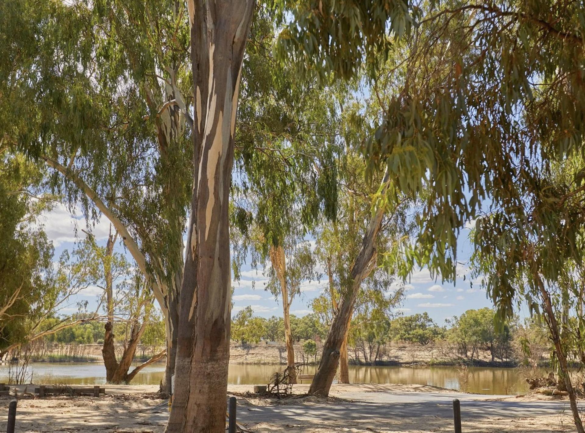 Apex Riverbeach Holiday Park - 1