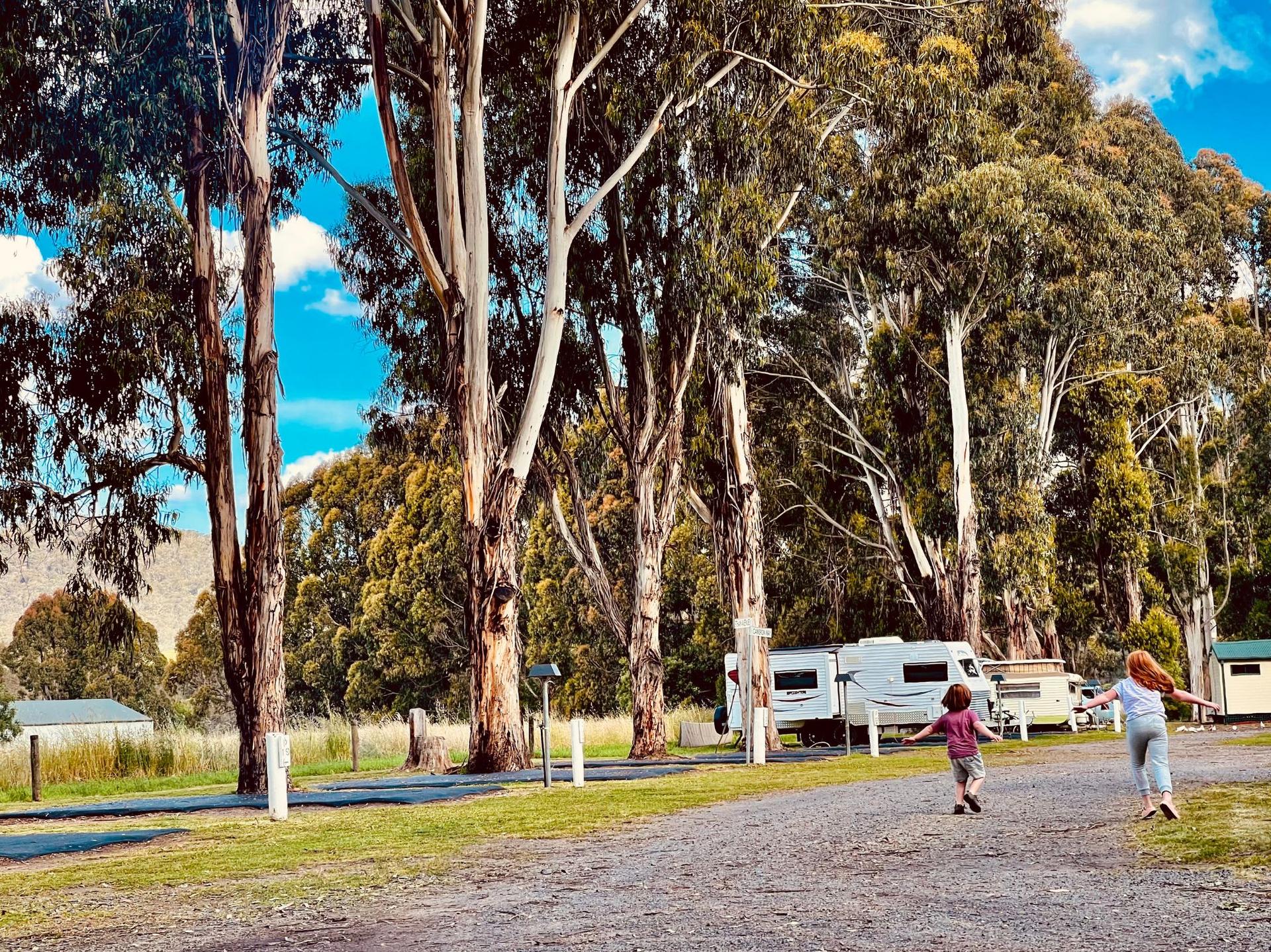 BIG4 Breeze Holiday Parks - Eildon - 3