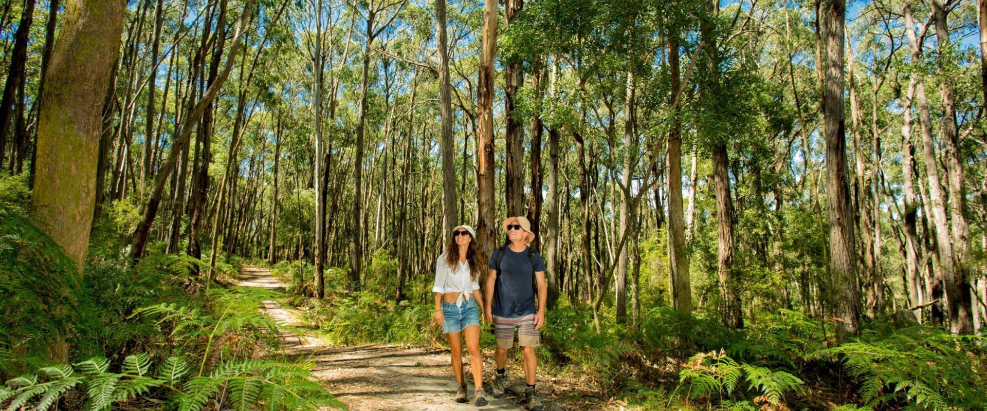 BIG4 Yarra Valley Park Lane Holiday Park - 1