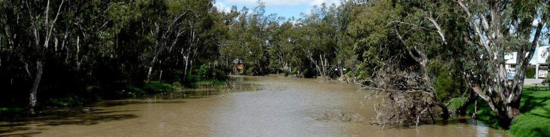 Riverbank Caravan Park - 3
