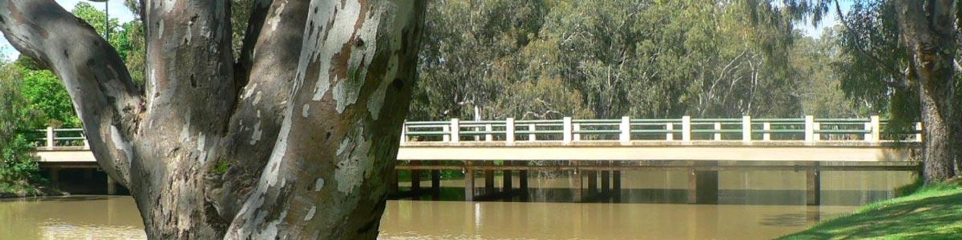 Riverbank Caravan Park - 2
